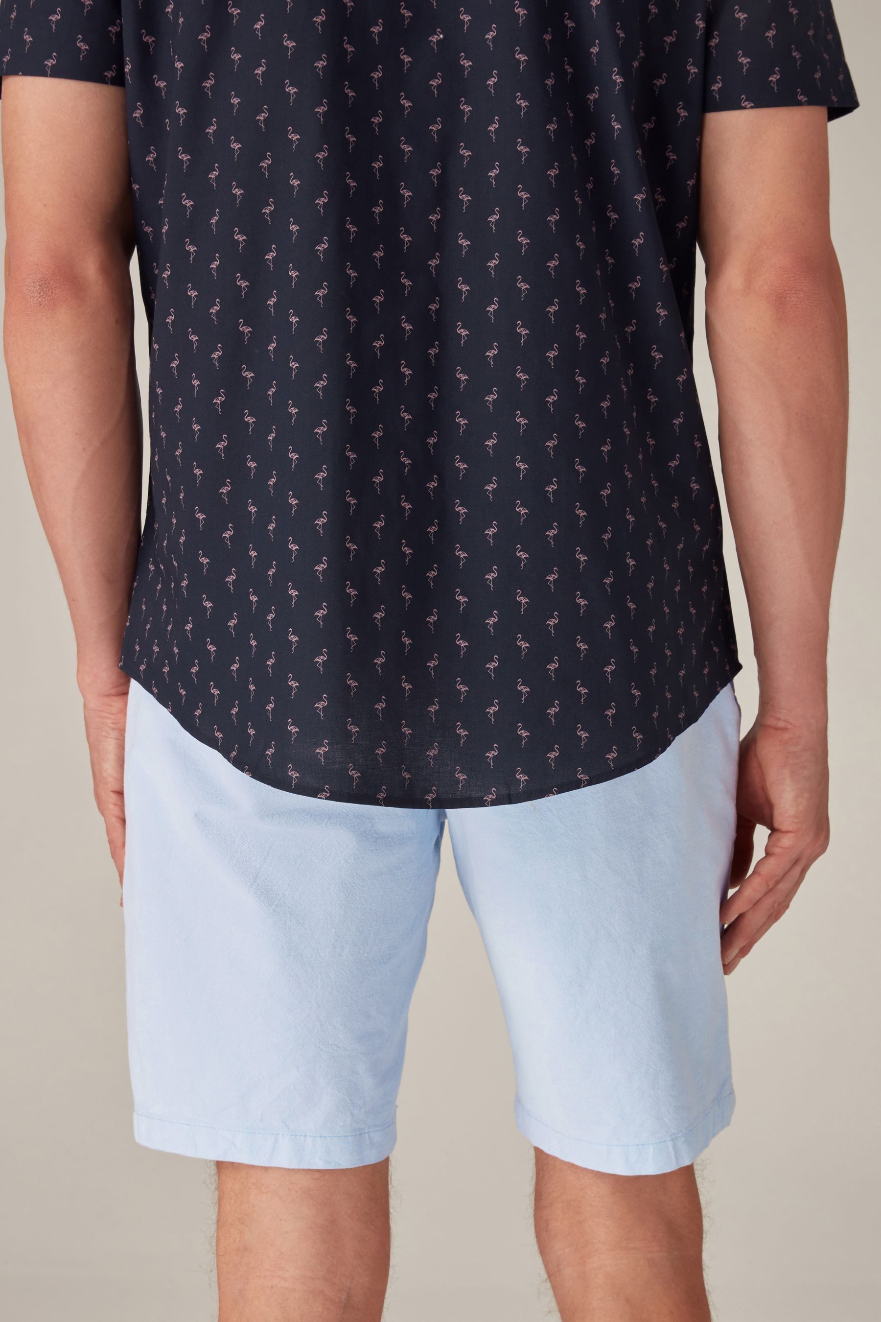 Next Chinoshorts Stretch-Chinoshorts im Slim-Fit (1-tlg) günstig online kaufen