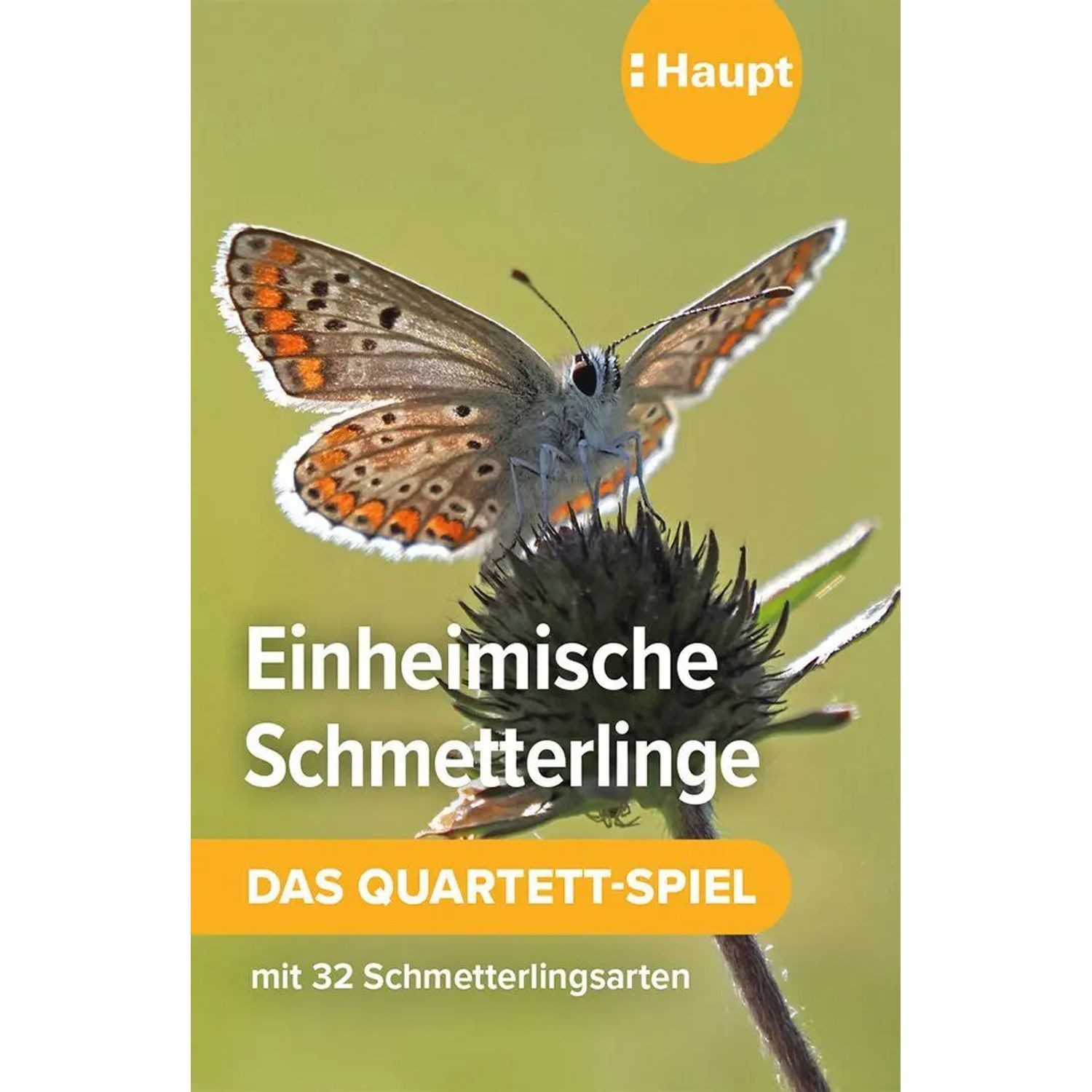 Haupt Spiel Einheimische Schmetterlinge - das Quartett-Spiel