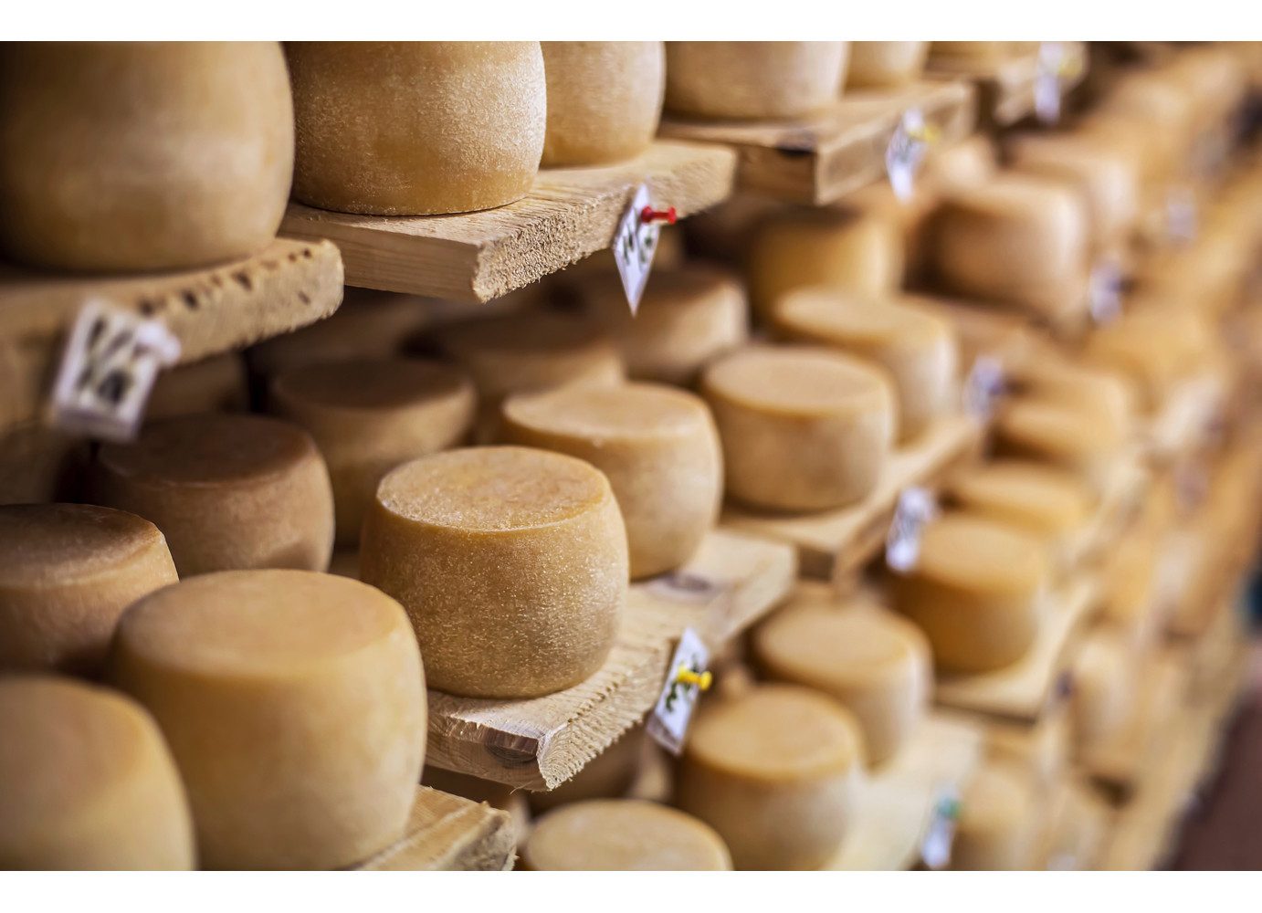 Jochen Schweizer Erlebnisgutschein Käse selber machen, Einmal "cheeese" bitte!