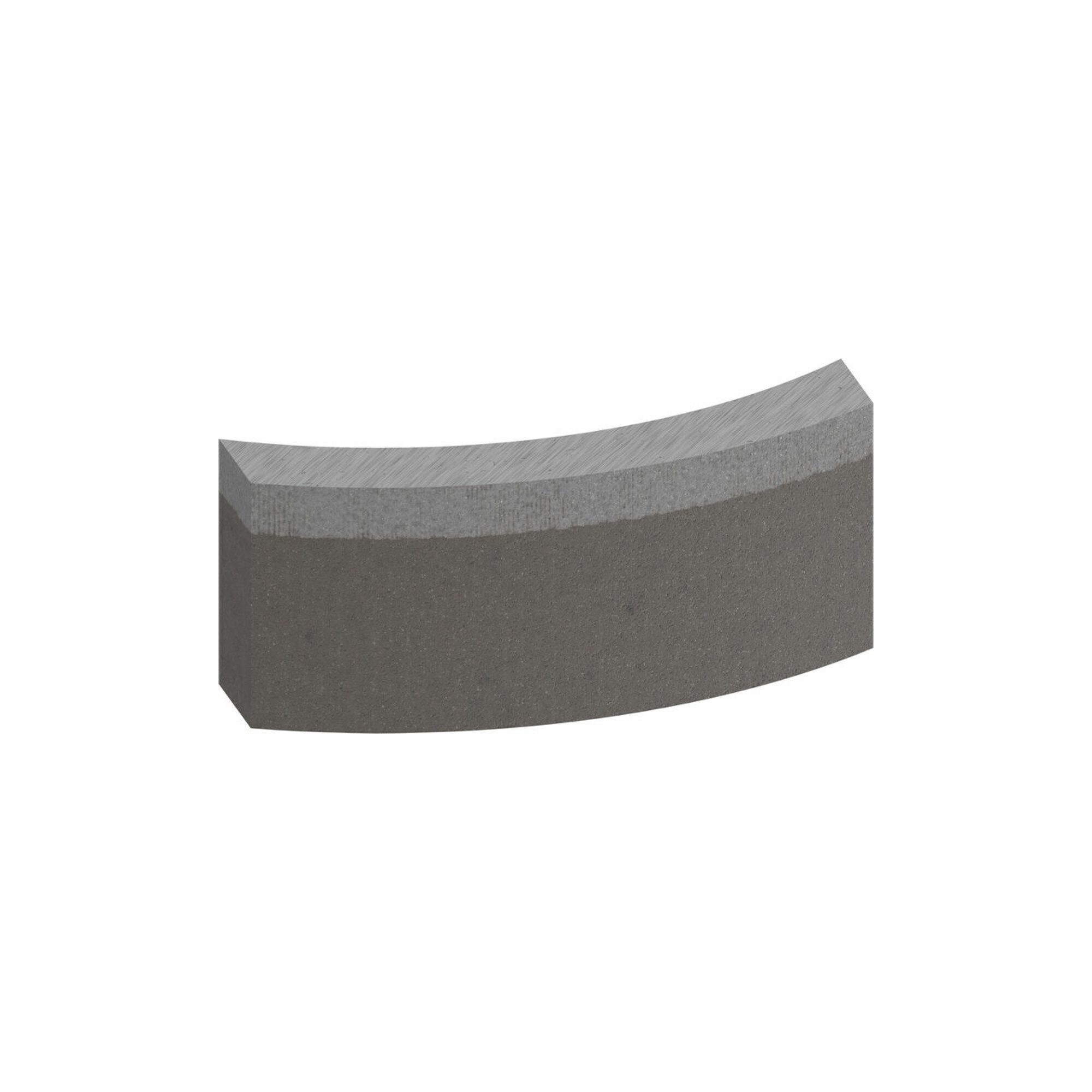 Bosch Professional Bohrkrone Bosch Segmente für Diamantbohrkrone Standard for Concrete 52 mm 5, 10