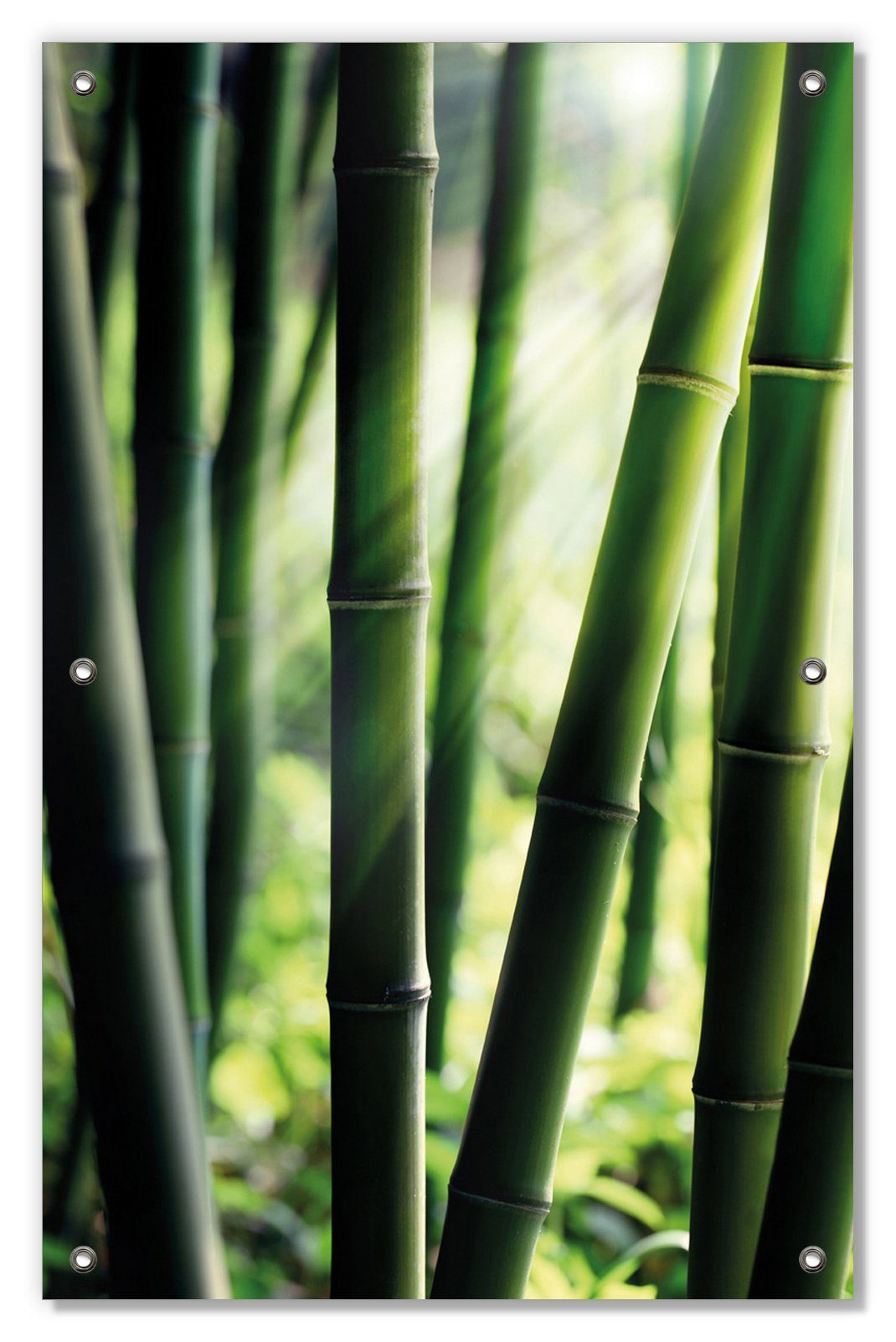 Sonnenschutz Bambuswald und Wallario, wiederverwendbar und Sonnenstrahlen, wiederablösbar blickdicht, Saugnäpfen, mit