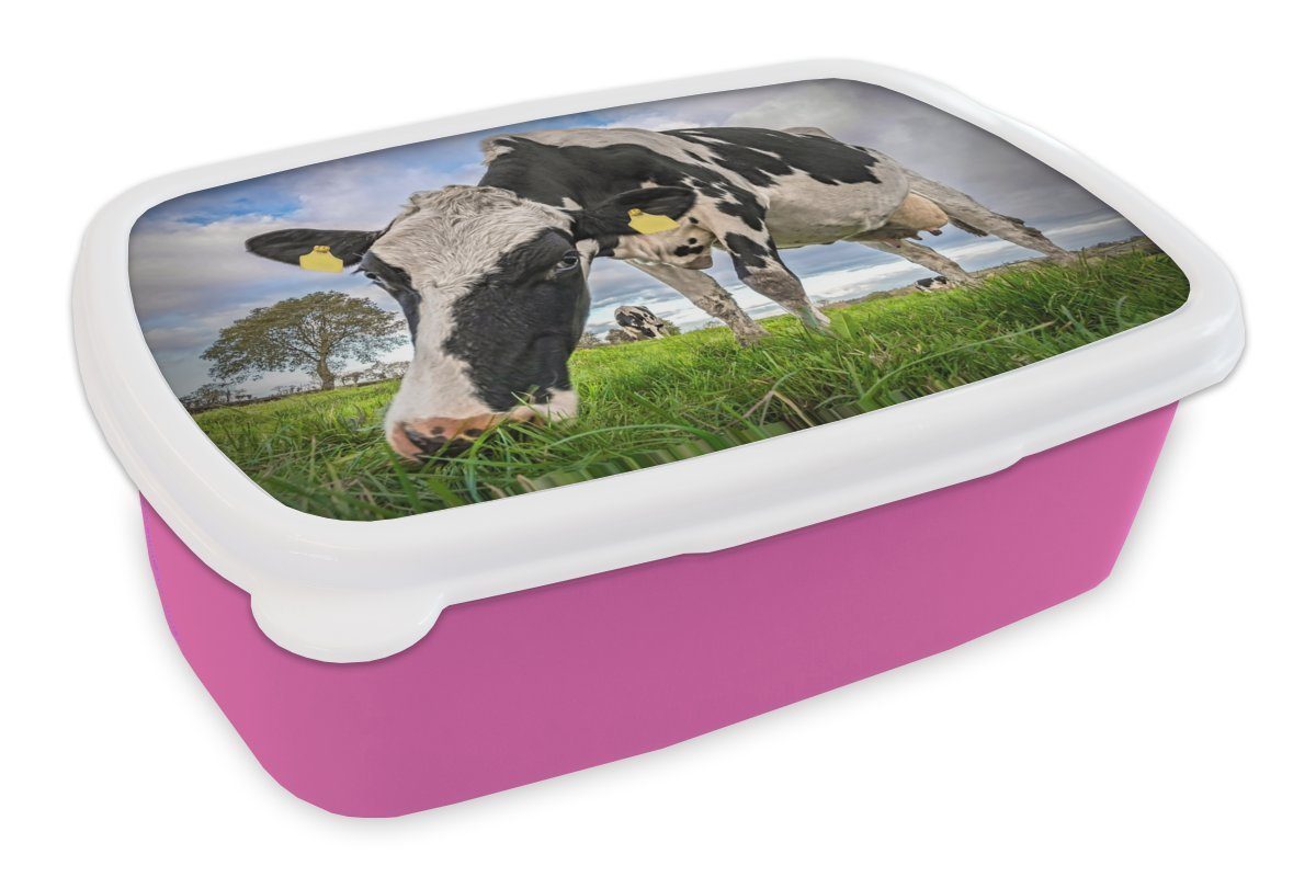 MuchoWow Lunchbox Kühe - Tags - Tiere, Kunststoff, (2-tlg), Brotbox für Erwachsene, Brotdose Kinder, Snackbox, Mädchen, Kunststoff rosa