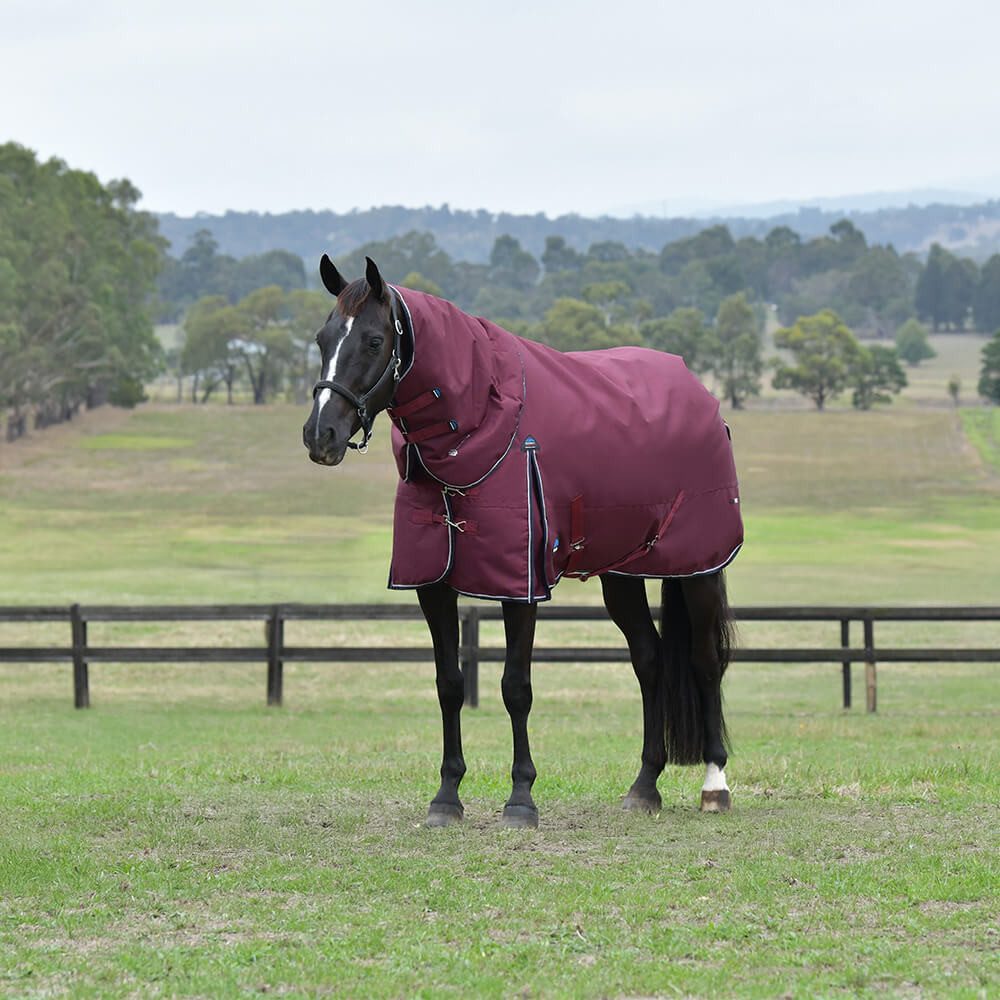 Pferde-Thermodecke Weatherbeeta Comfitec Essential Turnout Detach-A-Neck 220g
