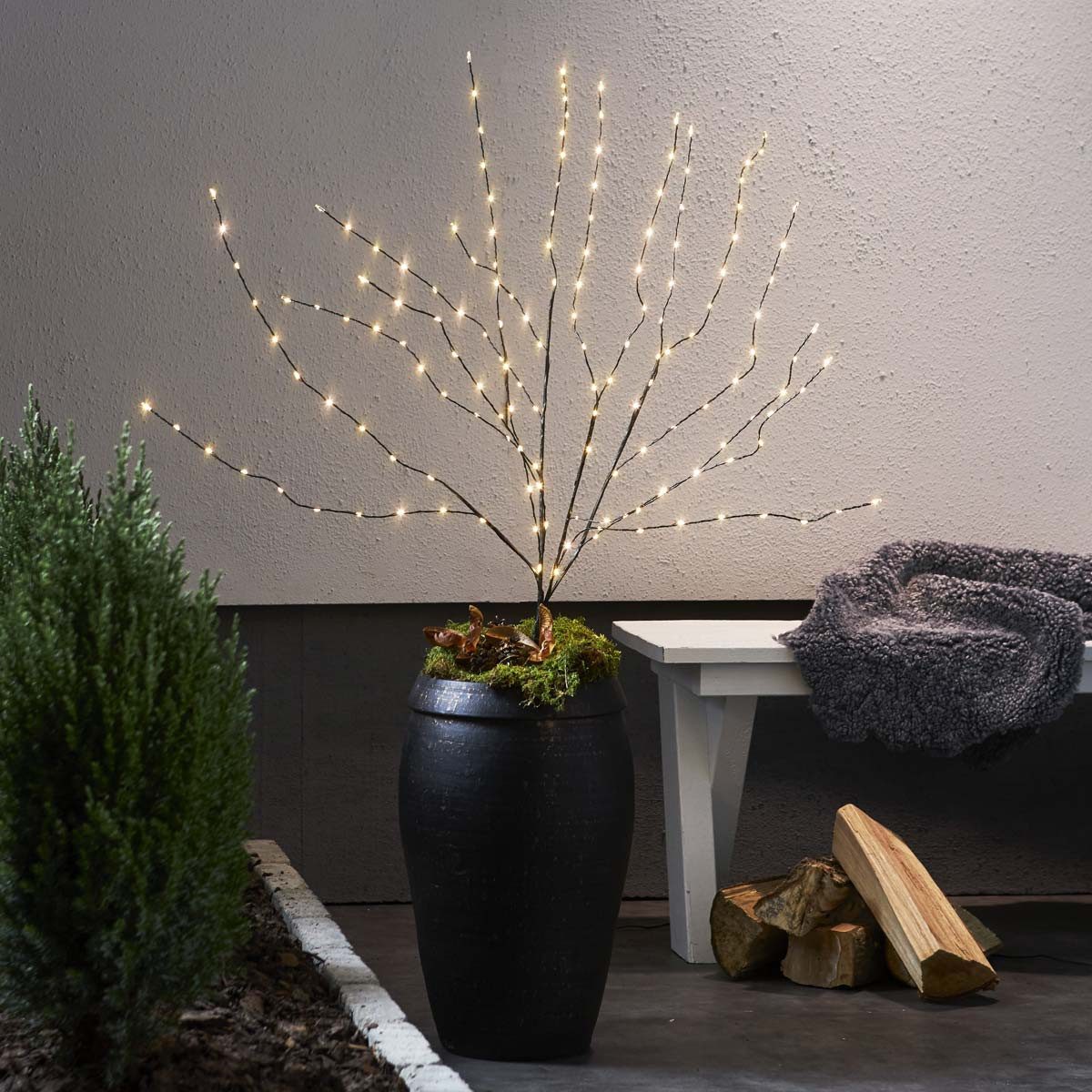 STAR TRADING LED Baum LED Bäumchen REEDY L, 90cm, 160 LED warmweiß, IP44
