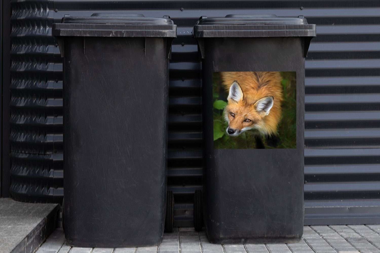 MuchoWow Wandsticker Fuchs - Grün St), Mülltonne, - (1 Abfalbehälter Sticker, Container, Mülleimer-aufkleber, Orange