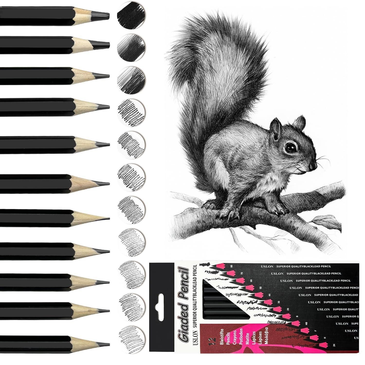 LuxusKollektion Bleistift Zeichenbleistift Set 12-teilig 2H-8B Graphit