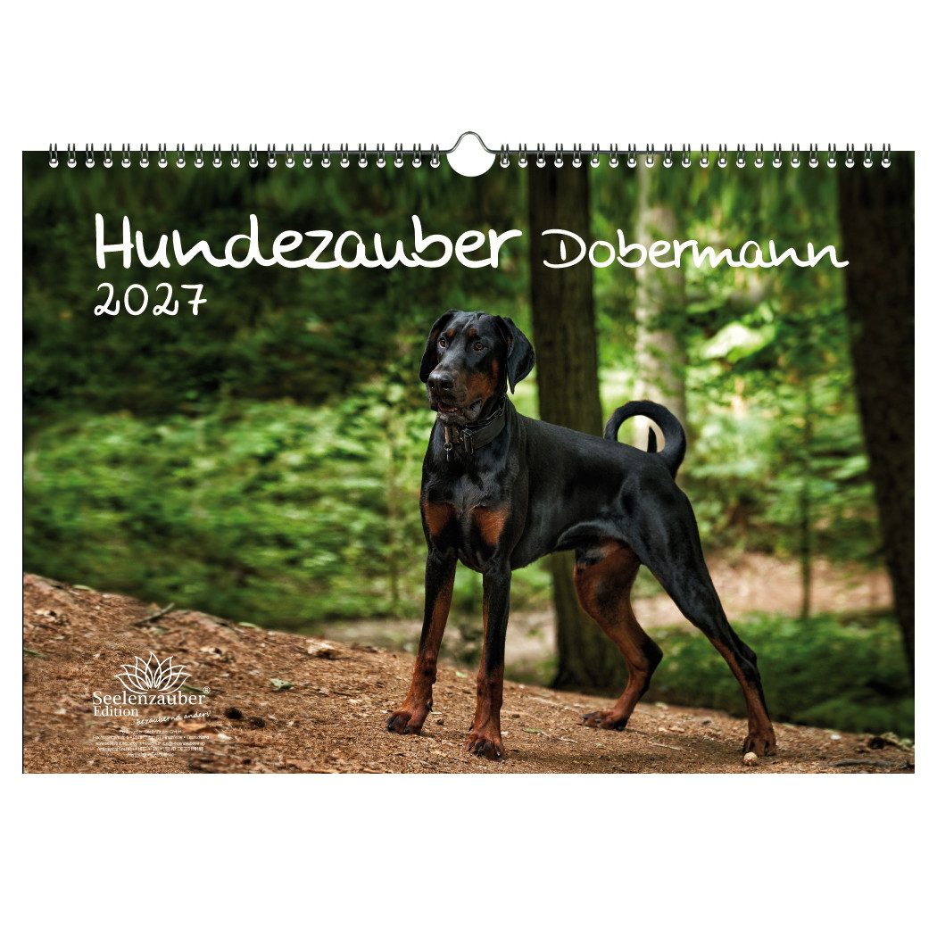 Seelenzauber Wandkalender Hundezauber Dobermann DIN A3 Kalender für 2027 Welpen und Hunde