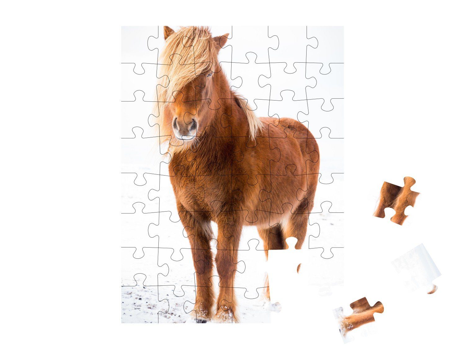 Schnee, puzzleYOU-Kollektionen Pferde, Puzzleteile, Puzzle puzzleYOU Island-Pferd Islandpferde im 48