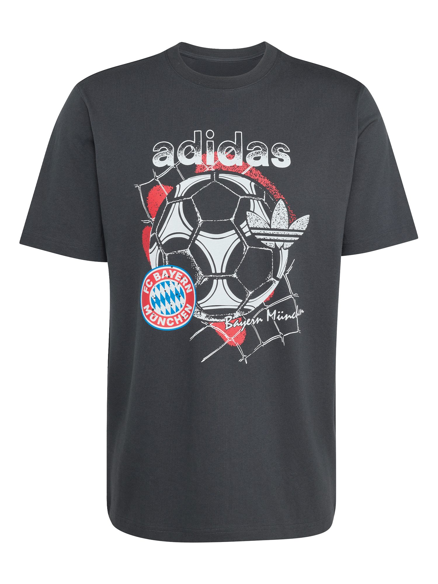 adidas Performance T-Shirt FC Bayern München, T-Shirt Graphic, Herren, Grau – Bild 5 von 5