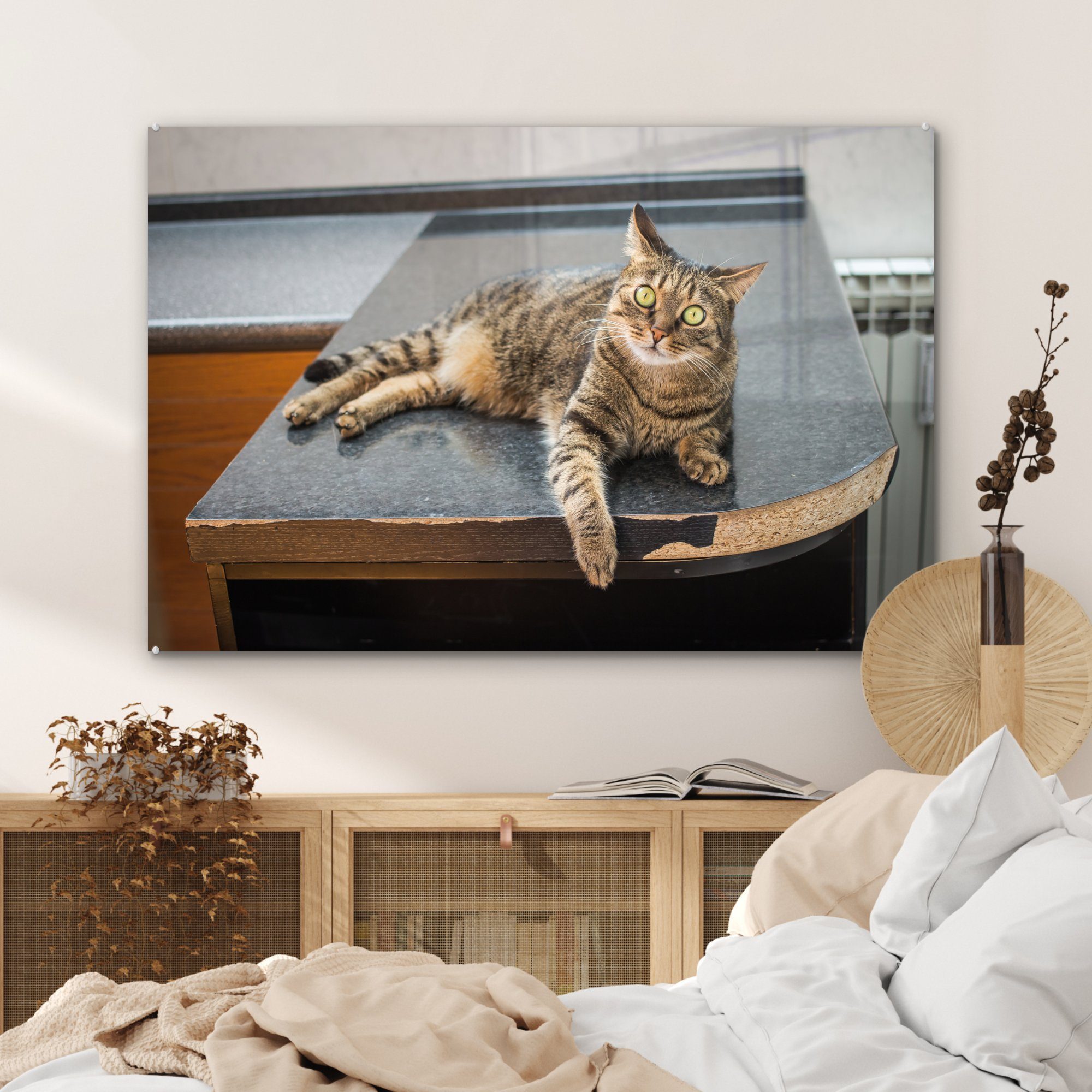 Acrylglasbilder auf liegend, Eine Holztisch Wohnzimmer & Schlafzimmer einem Tigerkatze Acrylglasbild MuchoWow St), (1