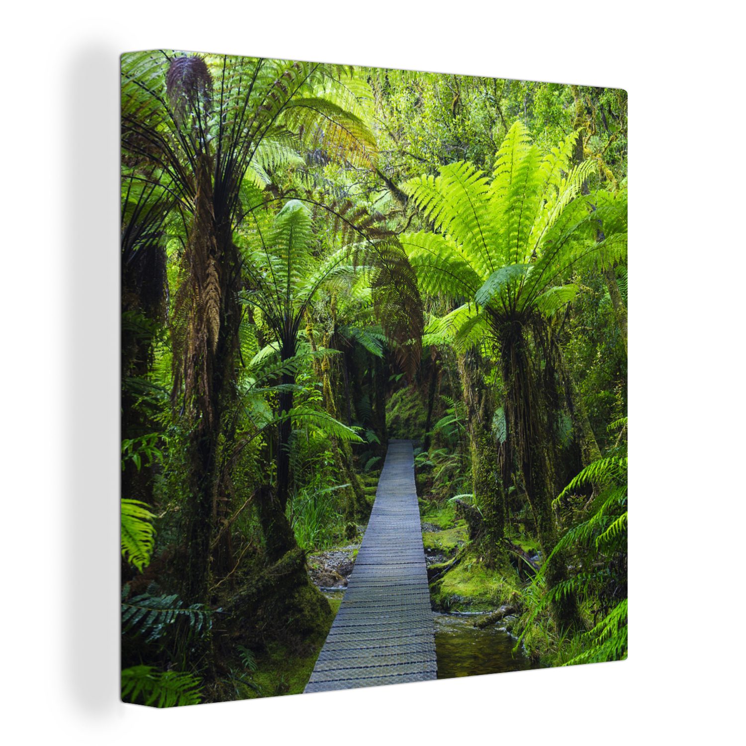 OneMillionCanvasses® Leinwandbild Neuseeland - Pfad - Dschungel, (1 St), Leinwand Bilder für Wohnzimmer Schlafzimmer