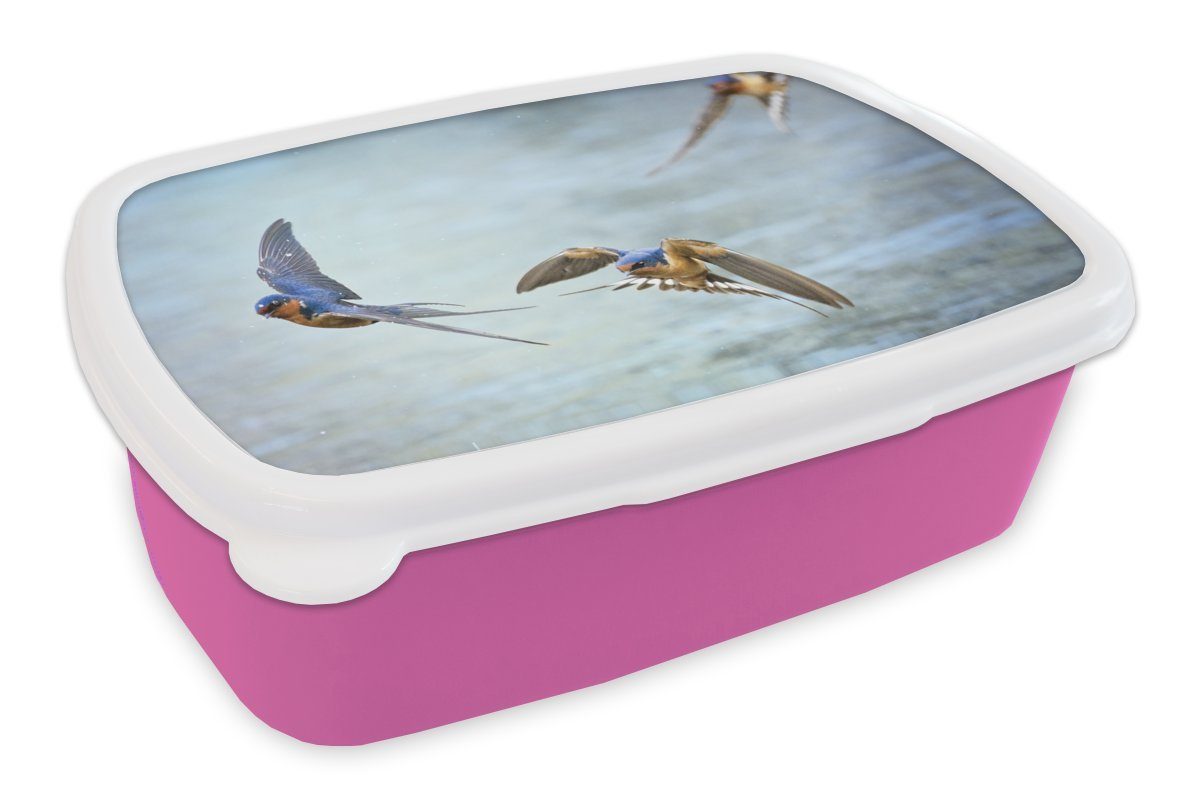 MuchoWow Lunchbox Schwalbe - Wasser - Blau, Kunststoff, (2-tlg), Brotbox für Erwachsene, Brotdose Kinder, Snackbox, Mädchen, Kunststoff rosa