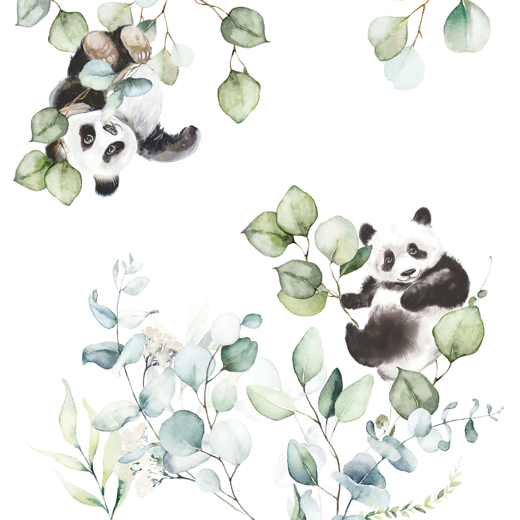 Rasch Fototapete Pandabären und Eukalyptus, glatt, gemustert, (1 St), 265 cm x 265 cm