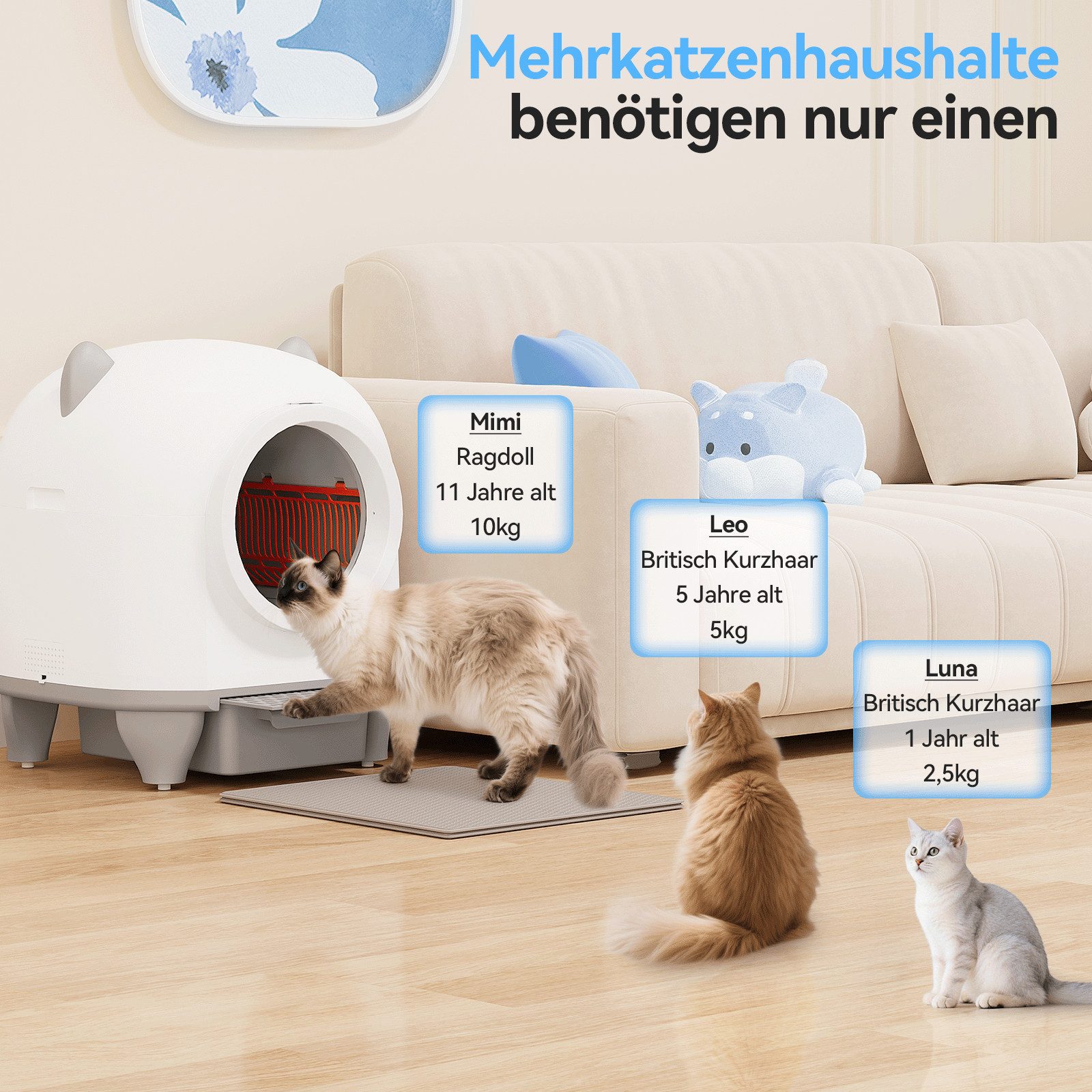 Furnicopia Katzentoilette XXXL Große Katzenklo selbstreinigend, Geruchsneutralisierung-System, Komfort für Ihre Katze, ideal für Mehrkatzenhaushalte