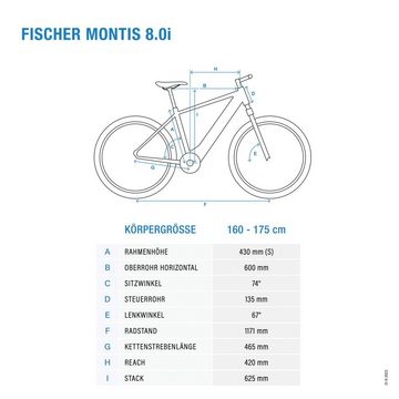 FISCHER Fahrrad E-Bike MONTIS 8.0i 711 43, 12 Gang SRAM SX 11-50 Kettenschaltung Schaltwerk, Kettenschaltung, Mittelmotor, 711 Wh Akku, (mit Akku-Ladegerät, mit Werkzeug)