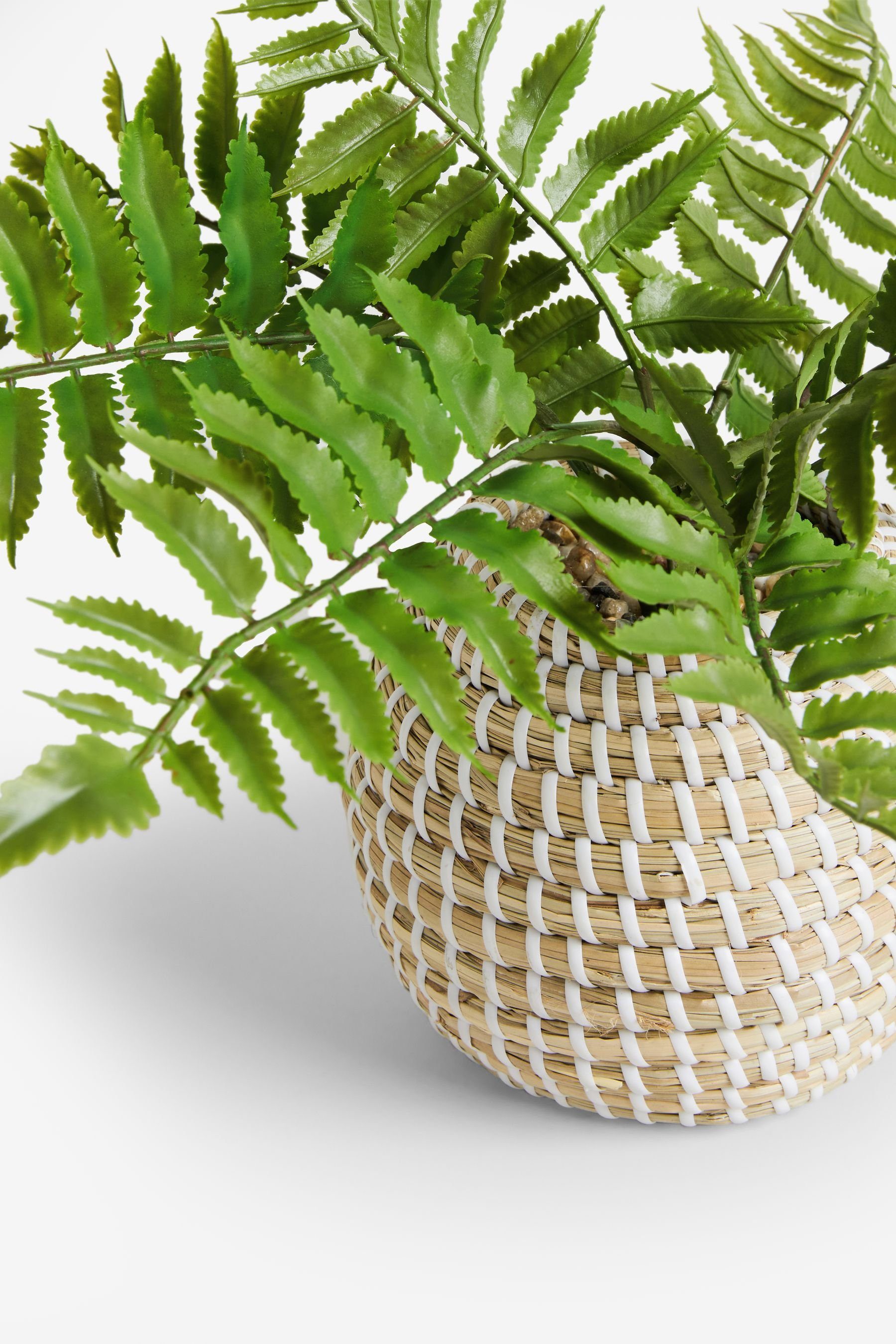 Künstliche Zimmerpflanze Künstlicher Farn im geflochtenen Topf, Next günstig online kaufen