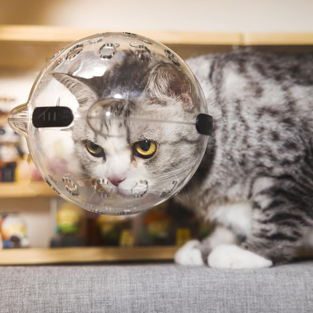 GarveeMore Schutzkragen Atmungsaktiver, transparenter Maulkorb für Katzen – Space Ball Design, Für Baden,Rasieren,Nagelschneiden,Erholung und Tierarztbesuche