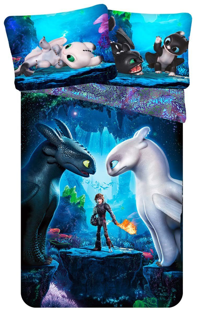 Dragons Kinderbettwäsche Dragons, Renforcé, 2 teilig günstig online kaufen