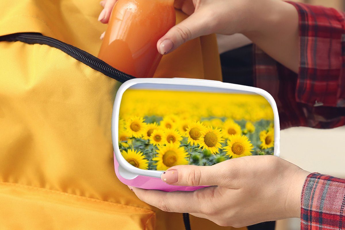 MuchoWow Kunststoff, Erwachsene, für Kinder, Brotbox Lunchbox rosa Brotdose (2-tlg), Gelbe Feldsonnenblumen, Kunststoff Mädchen, Snackbox,