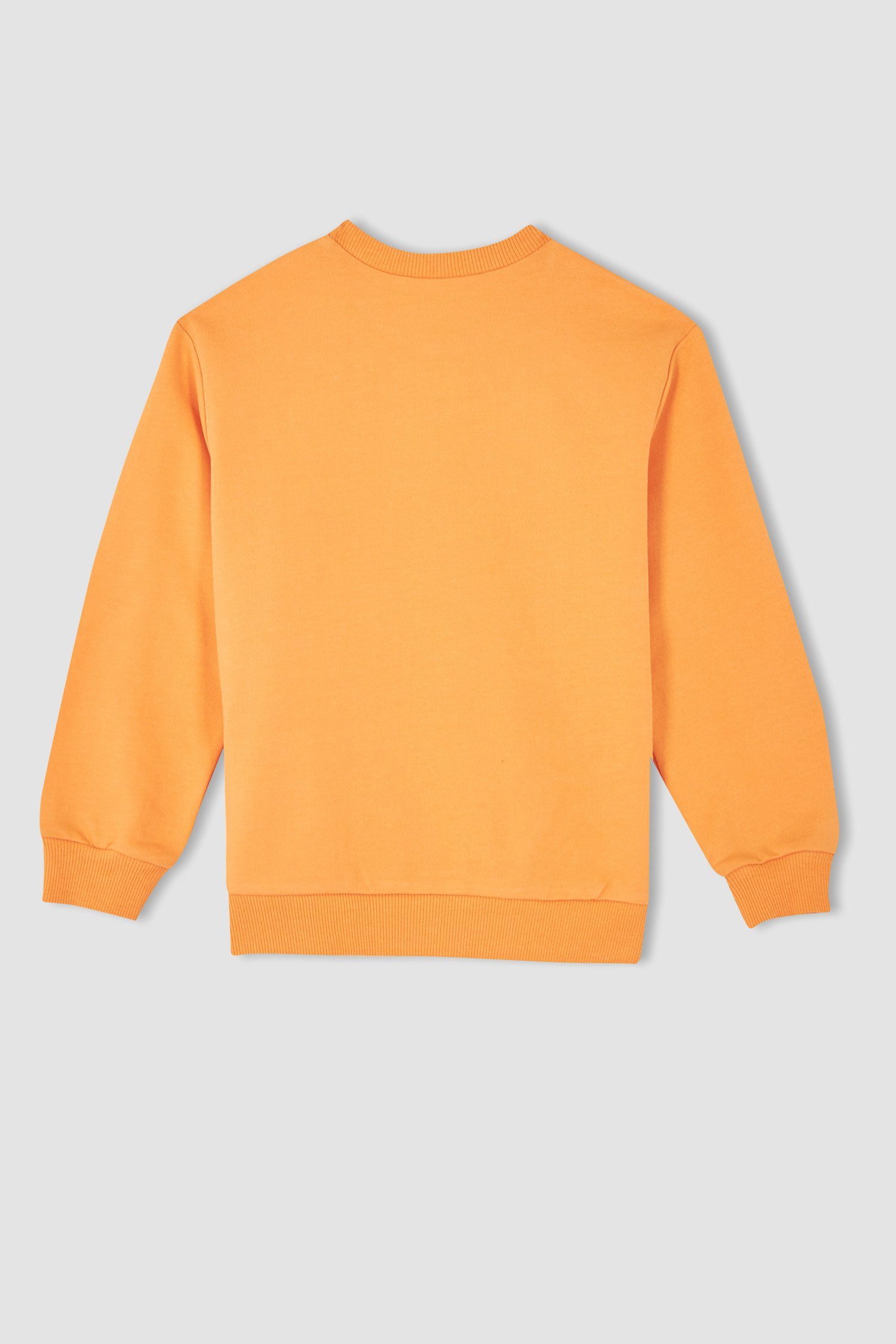 DeFacto Sweatshirt Mädchen REGULAR Orange FIT Sweatshirt