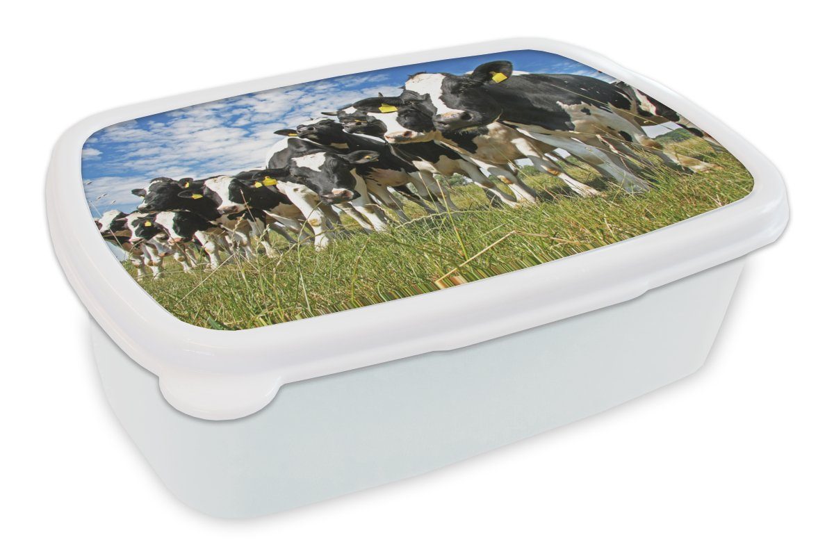 MuchoWow Lunchbox Kühe - Gras - Wiese - Tiere, Kunststoff, (2-tlg), Brotbox für Kinder und Erwachsene, Brotdose, für Jungs und Mädchen weiß