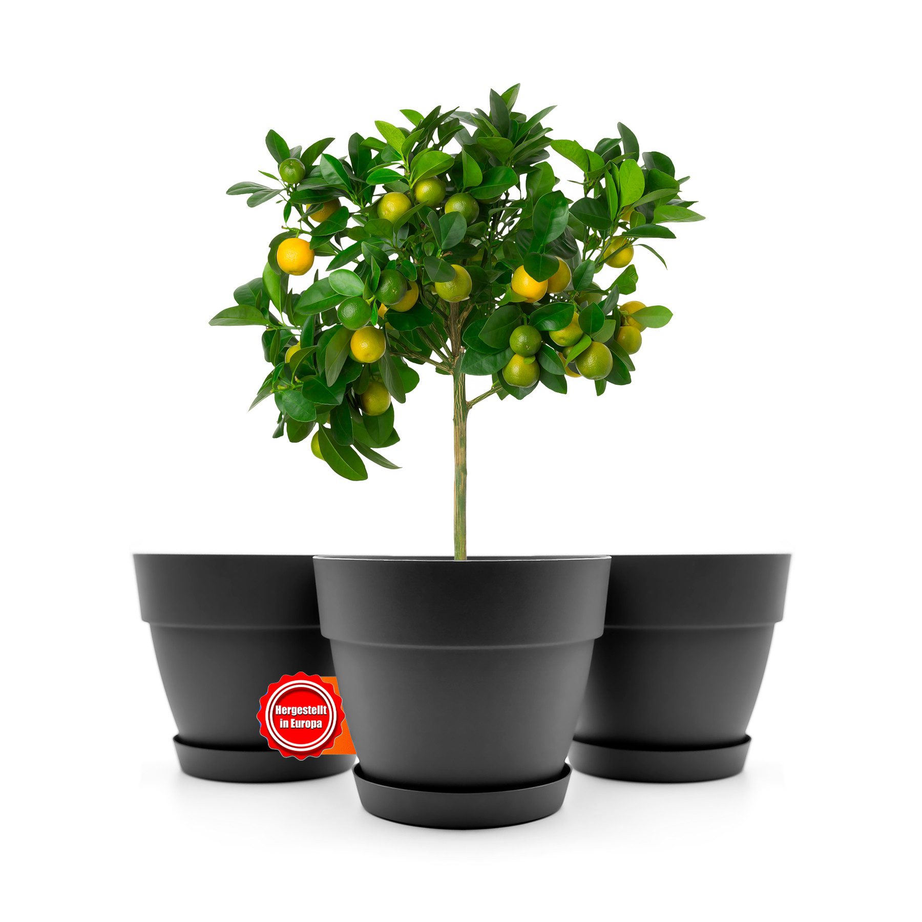 BigDean Blumentopf mit Untersetzer rund innen + außen geeignet Wetterfest (Set, 3 St., Blumentopf + Untersetzer), Vielseitig, Innen + Außen geeignet, Made in Euope