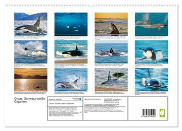 CALVENDO Wandkalender Orcas: Schwarz-weiße Giganten (Premium, hochwertiger DIN A2 Wandkalender 2023, Kunstdruck in Hochglanz)