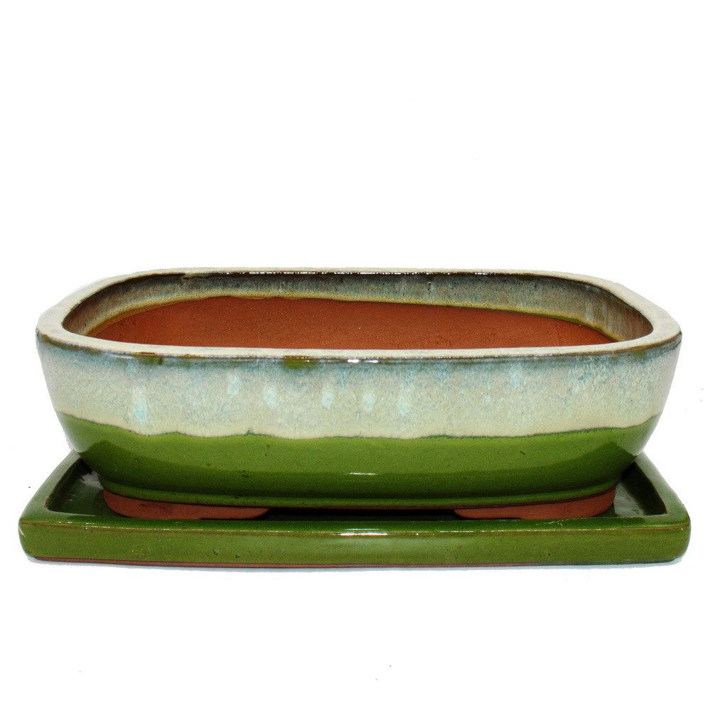 Exotenherz Pflanzschale Bonsai-Schale Unterteller Gr.6 Grün-Beige rechtecki günstig online kaufen