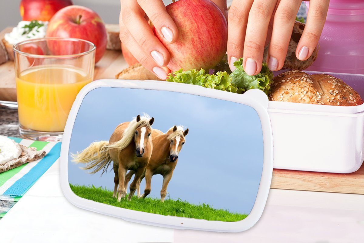 Pferde (2-tlg), Brotbox - und Mädchen Jungs Brotdose, Kinder Gras Lunchbox für für Luft, und - Kunststoff, weiß Erwachsene, MuchoWow
