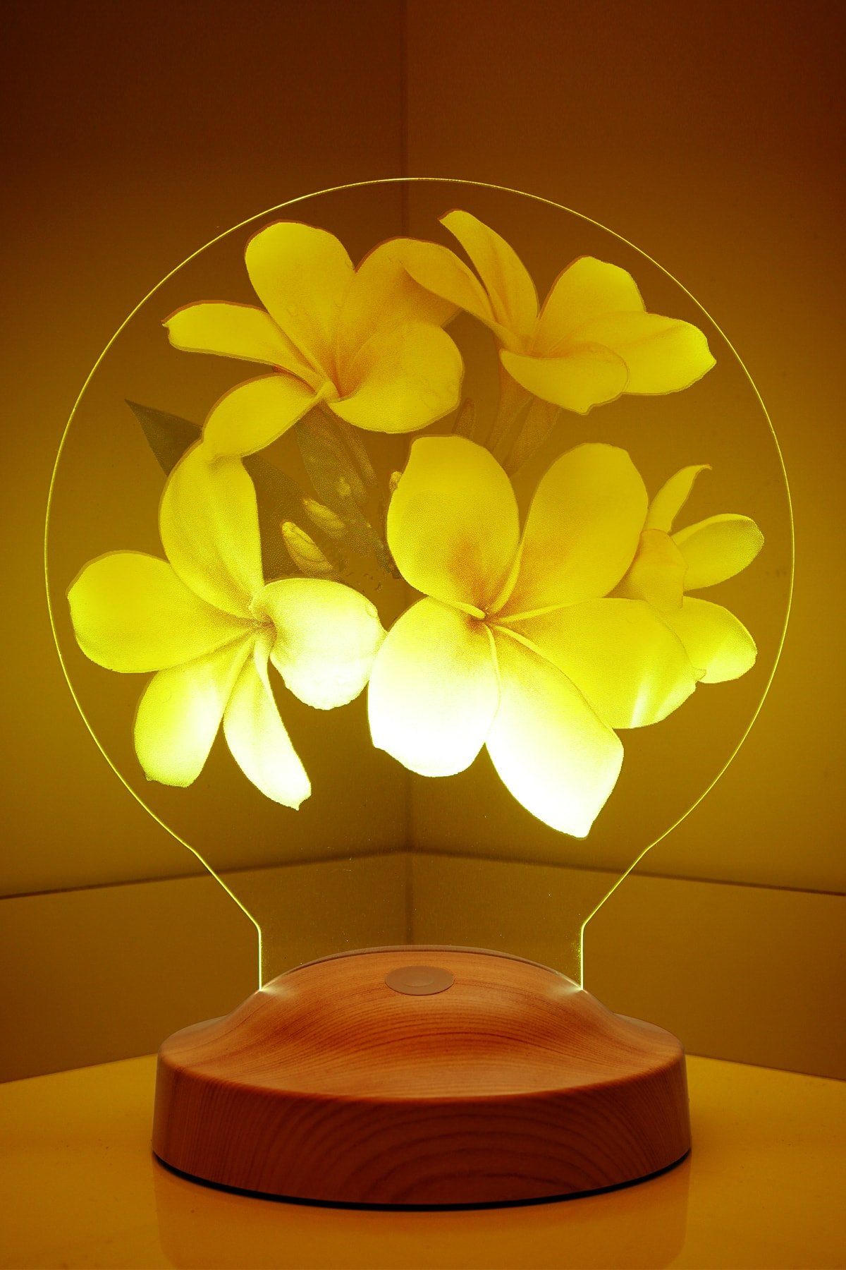 Geschenkelampe LED Nachttischlampe Plumeria Blumen 3D mehrfarbige Nachttischlampe Muttertag, Valentinstag, Leuchte 7 Farben fest integriert, Valentinstagsgeschenk für Freundin, Kollegin, Ehefrau, Partnerin
