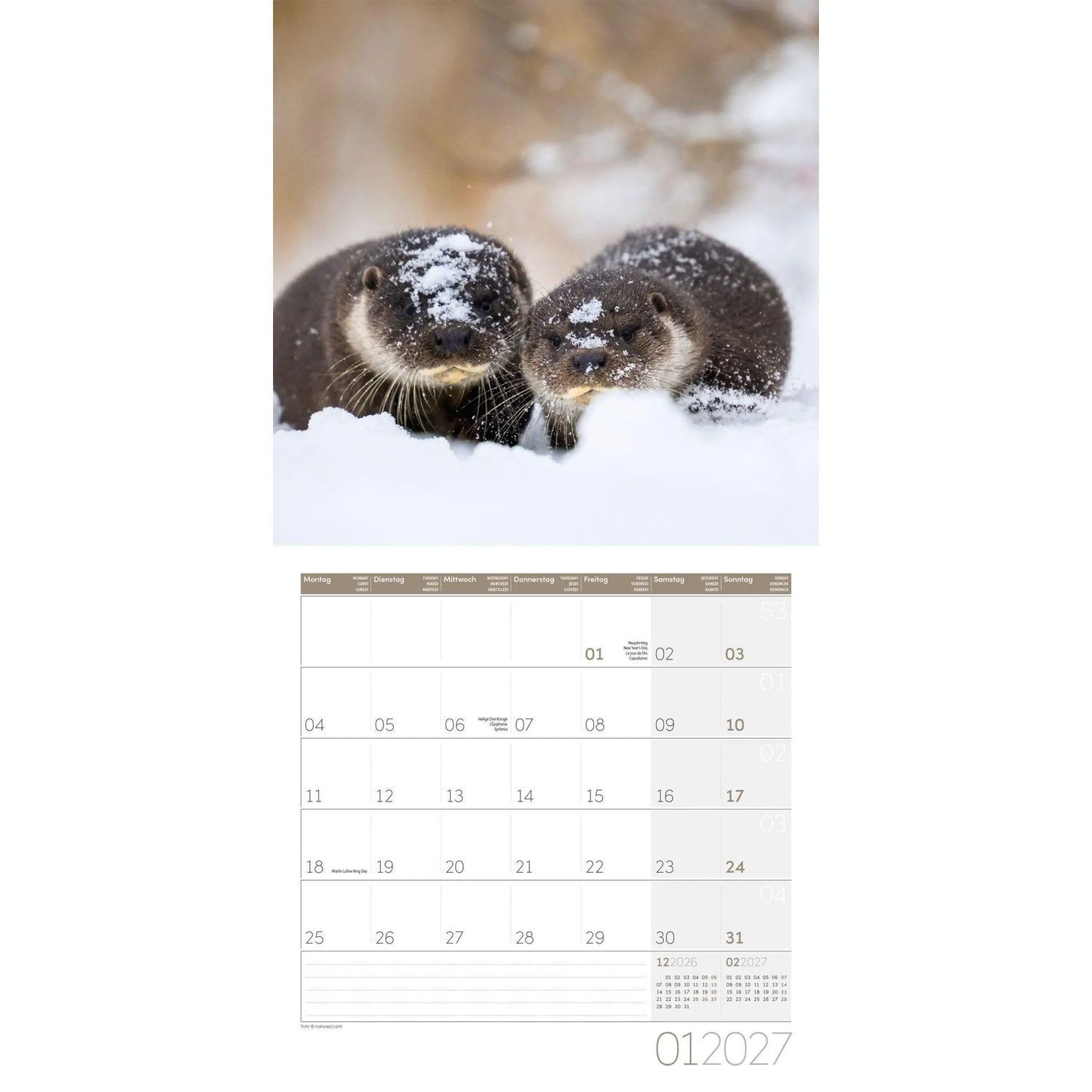Ackermann Wandkalender Otter Kalender 2027 - 30x30 - Art12 – Bild 2 von 5