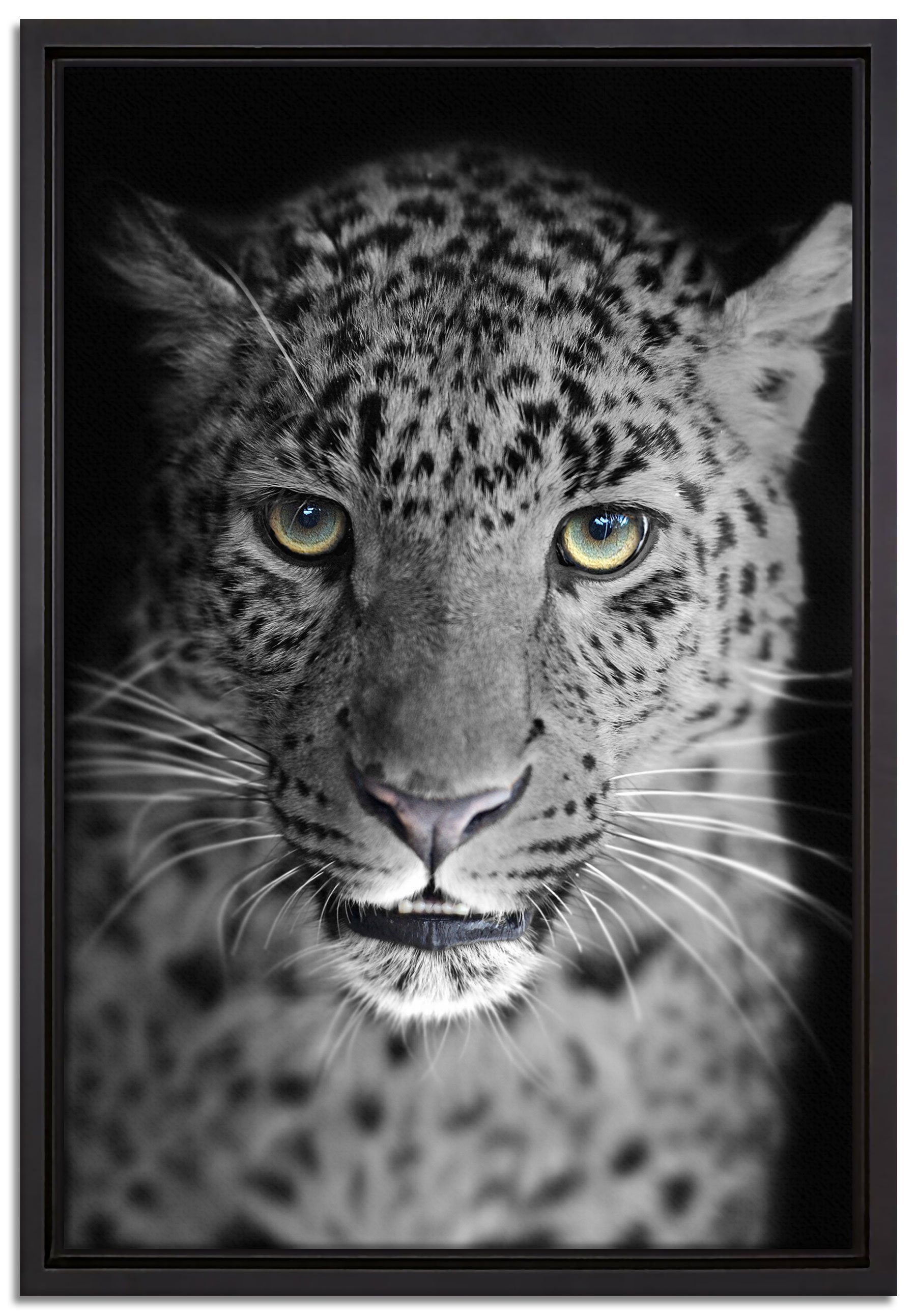 Pixxprint Leinwandbild wunderschöner stolzer Leopard, Wanddekoration (1 St), Leinwandbild fertig bespannt, in einem Schattenfugen-Bilderrahmen gefasst, inkl. Zackenaufhänger