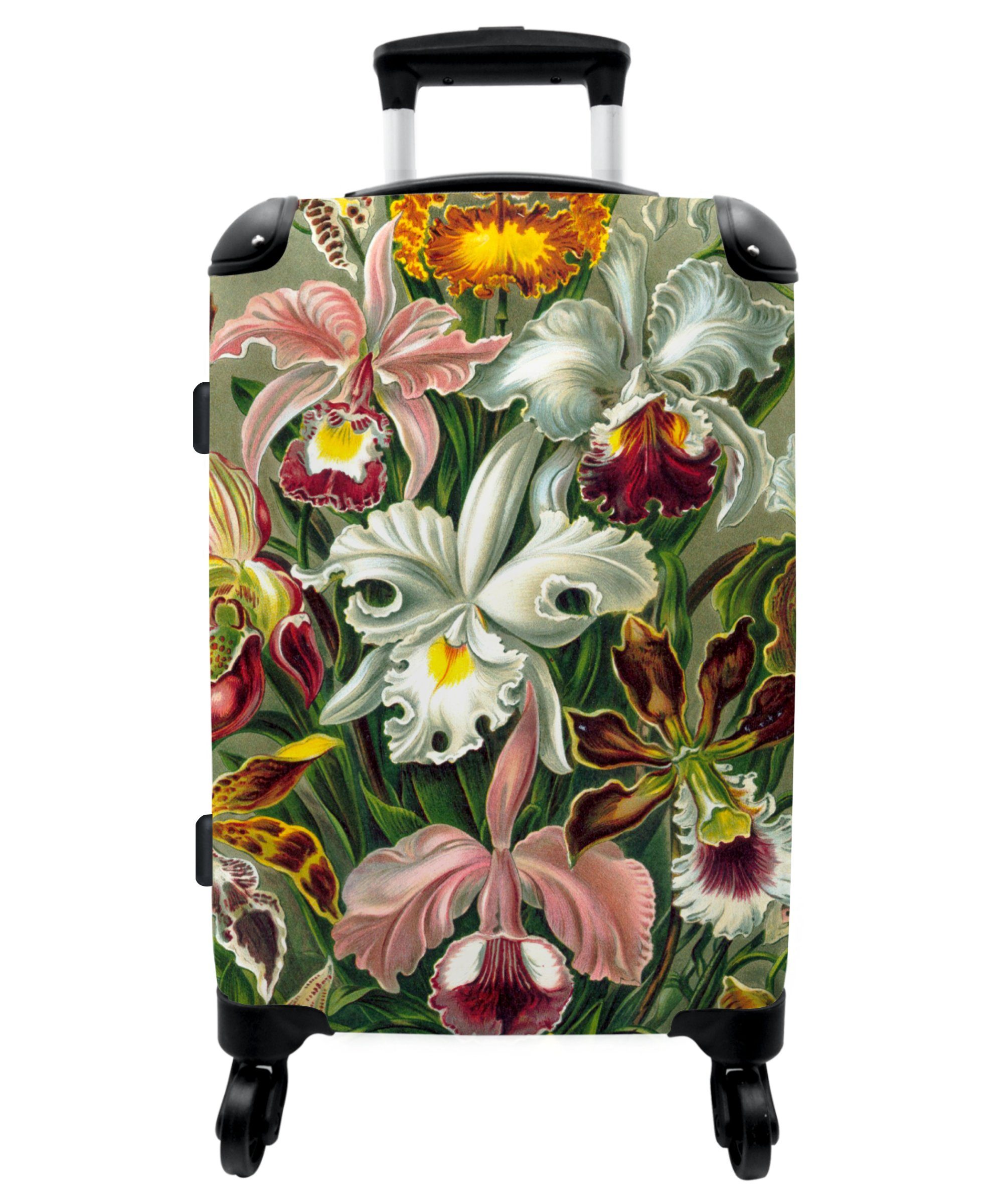 NoBoringSuitcases.com© Koffer 67x43x25cm Blumen - Kunstwerk - Haeckel - Pflanzen - Alte Meister, 4 Rollen, Aufgabegepäck Trolley Rollkoffer Große Reisekoffer mit 4 Rollen -