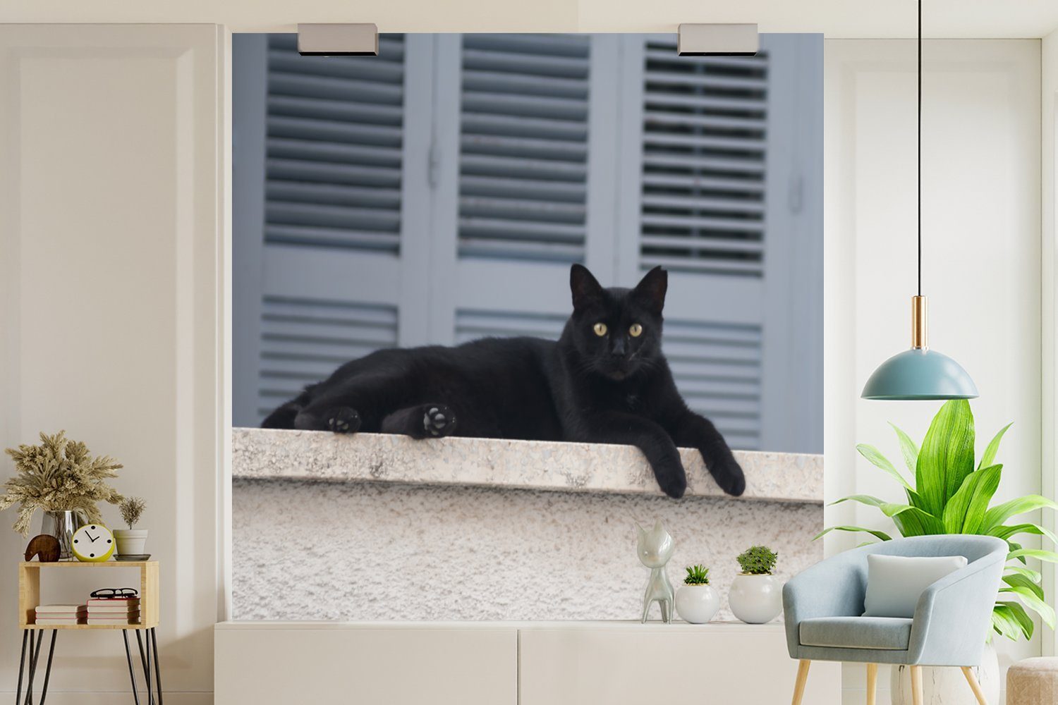 MuchoWow Fototapete Katze - - Kind, für (5 - bedruckt, Jungen - Wandtapete - Matt, St), Wohnzimmer Schlafzimmer, Schwarz Kinder oder Mädchen Vinyl Tapete Fensterläden 