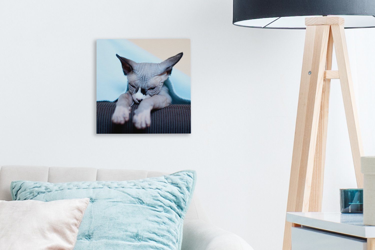 Leinwand Schlafzimmer auf OneMillionCanvasses® für Eine Leinwandbild (1 St), Sphynx-Katze Wohnzimmer dem Bilder schläfrige Sofa,