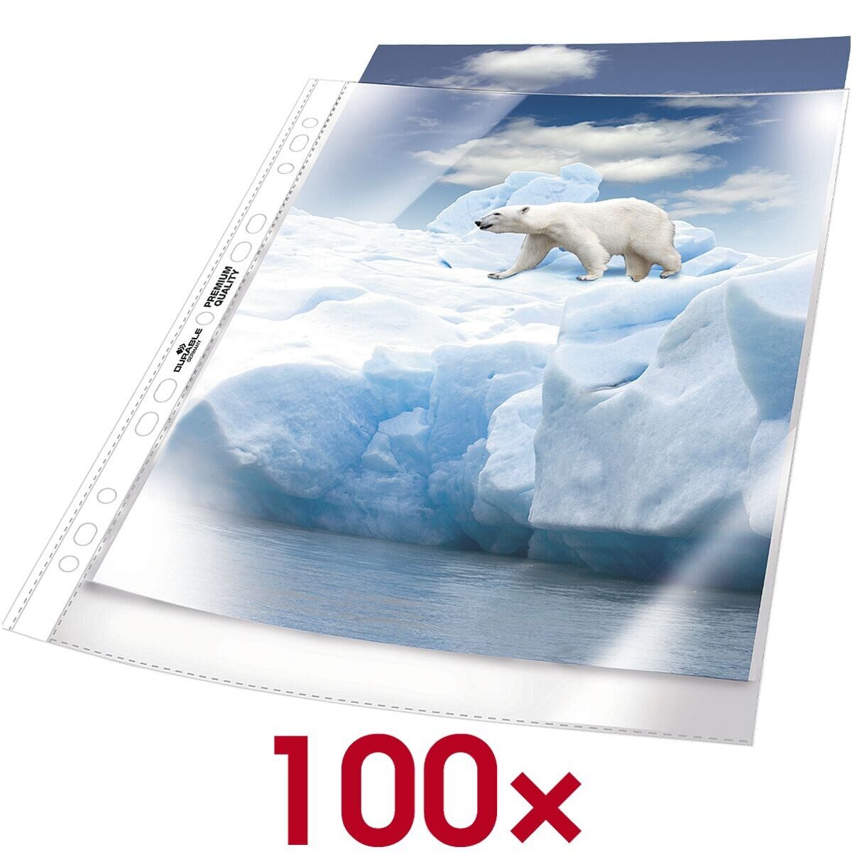 DURABLE Prospekthülle, 100 Stück, genarbt, Format A4, Universallochung, oben offen