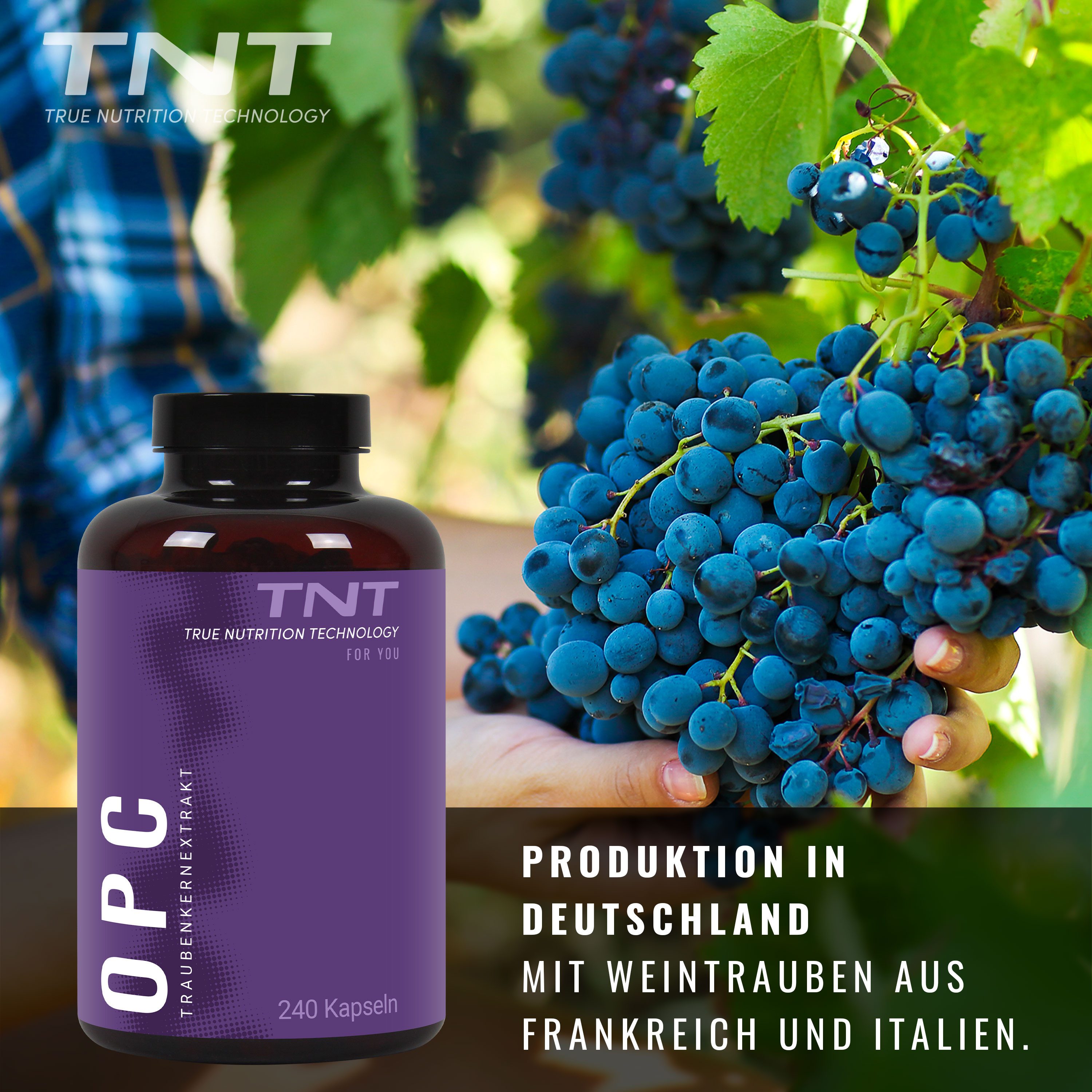 TNT (True Nutrition Technology) TNT OPC (Traubenkernextrakt mit 95% OPC-Anteil) Kapseln, 240,00 St., 177 g