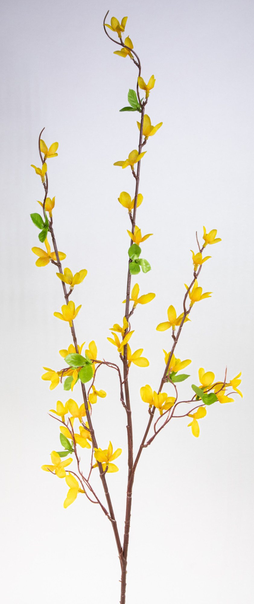 Kunstzweig Forsythienzweig 105cm FI Kunstblumen Goldflieder künstliche Blumen