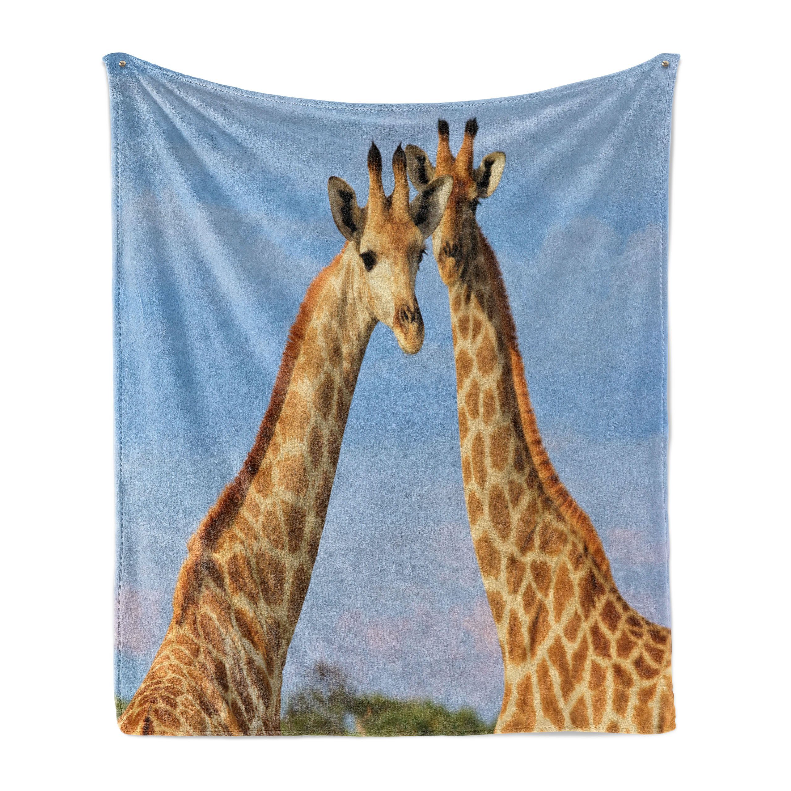 für und den Gemütlicher Wohndecke Giraffe Plüsch Außenbereich, Paare Animal Foto Wild Innen- von Abakuhaus,