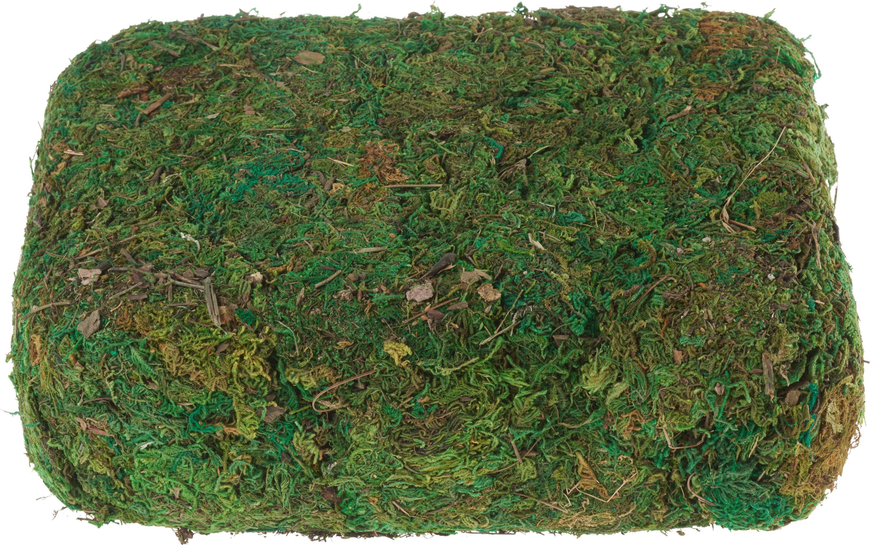VBS XXL Bastelmoos Moos, 750 g