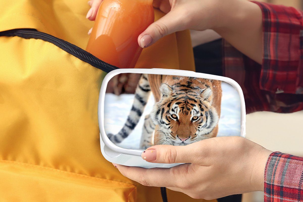 Kunststoff, Schnee Lunchbox und weiß - für für Jungs Kinder Mädchen Tiere, und Erwachsene, MuchoWow (2-tlg), Tiger Brotdose, - Brotbox