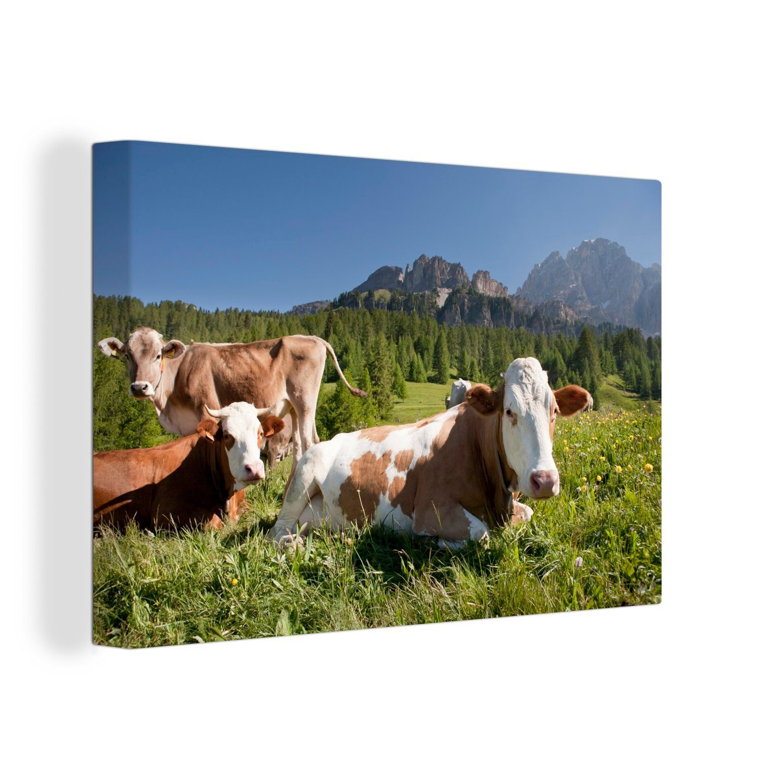 OneMillionCanvasses® Leinwandbild Blumen - Kuh - Gras, (1 St), Wandbild Leinwandbilder, Aufhängefertig, Wanddeko, 30x20 cm