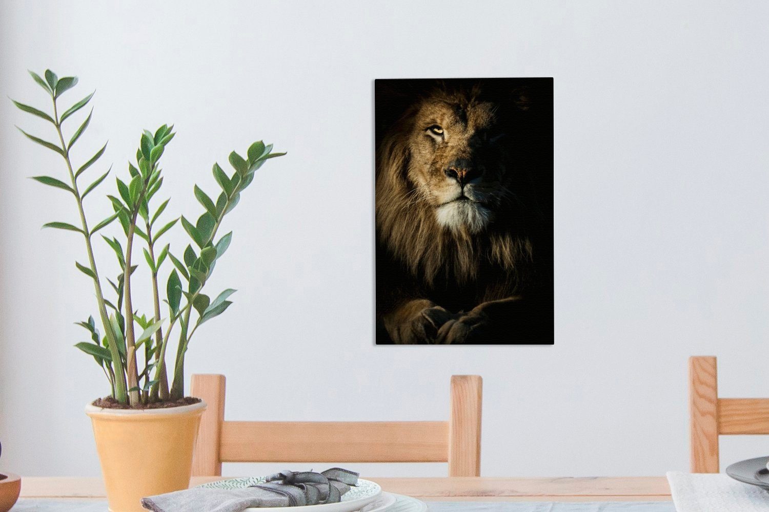Löwen, OneMillionCanvasses® der Leinwandbild 20x30 schaut, Gemälde, Kamera die bespannt Nahaufnahme Zackenaufhänger, (1 inkl. in St), Leinwandbild eines cm fertig