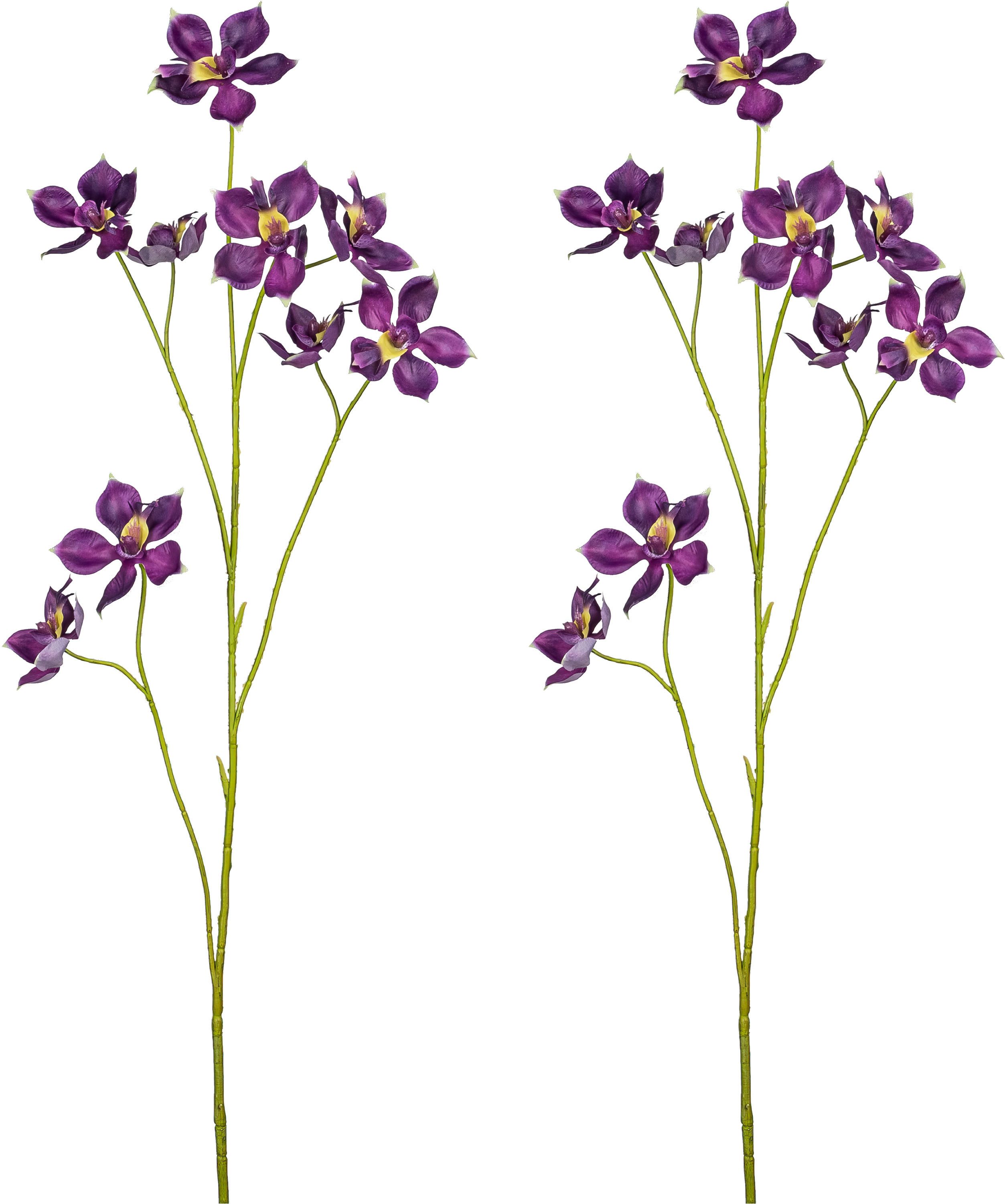 Kunstblume Pletia, Creativ green, Höhe 103 cm, mit traumhaft schönen Blüten