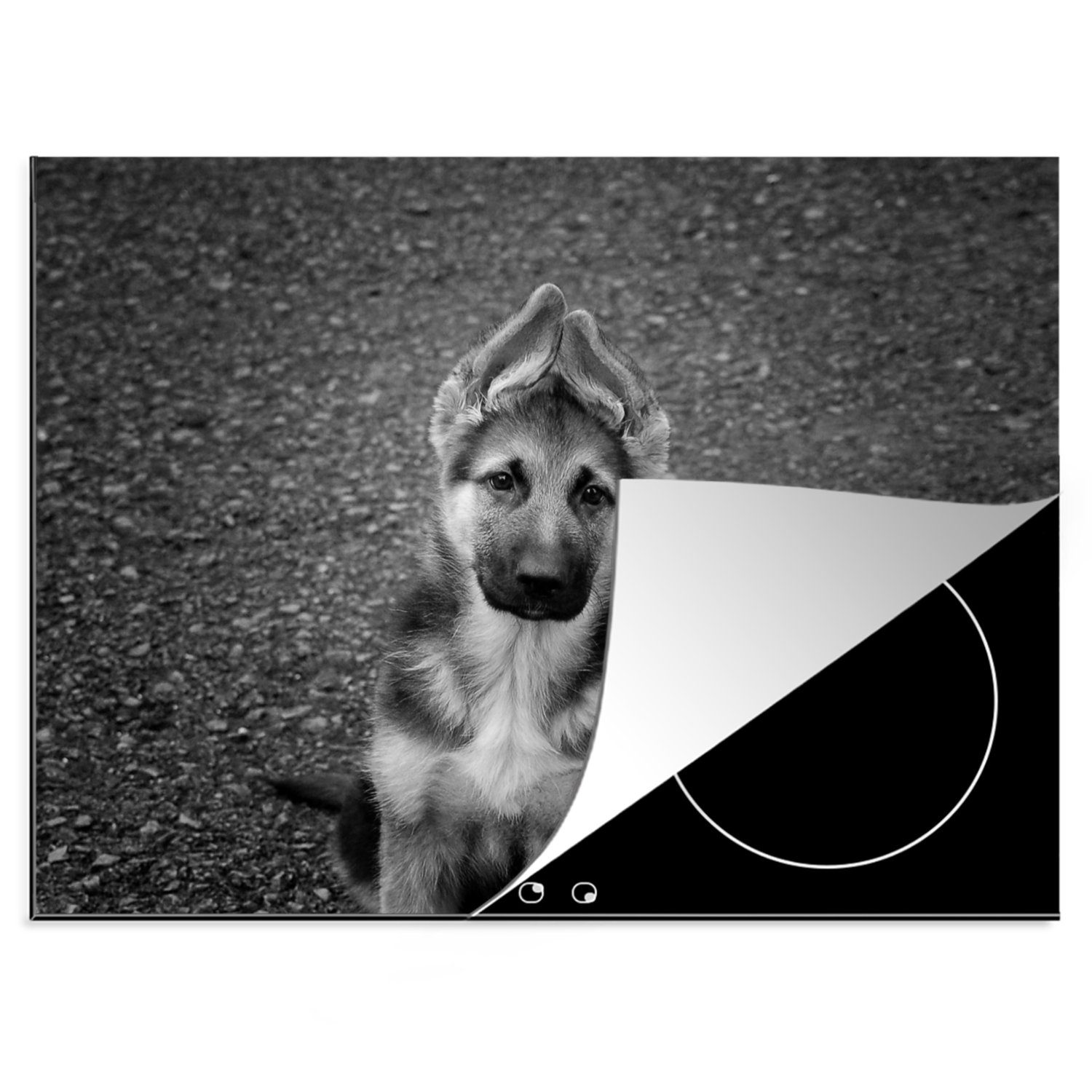 MuchoWow Herdblende-/Abdeckplatte Deutscher Schäferhund auf der Straße - schwarz und weiß, Vinyl, (1 tlg), 70x52 cm, Mobile Arbeitsfläche nutzbar, Ceranfeldabdeckung