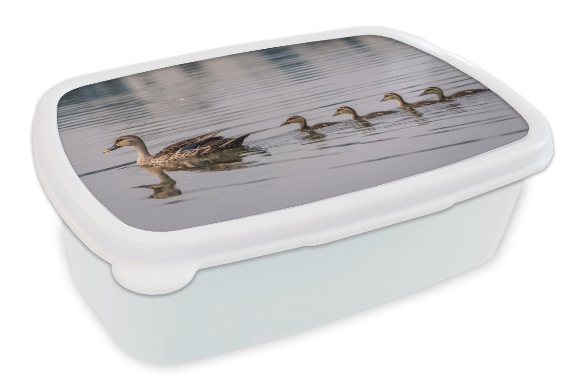 MuchoWow Lunchbox Ente - Wasser - Vogel - Braun, Kunststoff, (2-tlg), Brotbox für Kinder und Erwachsene, Brotdose, für Jungs und Mädchen weiß