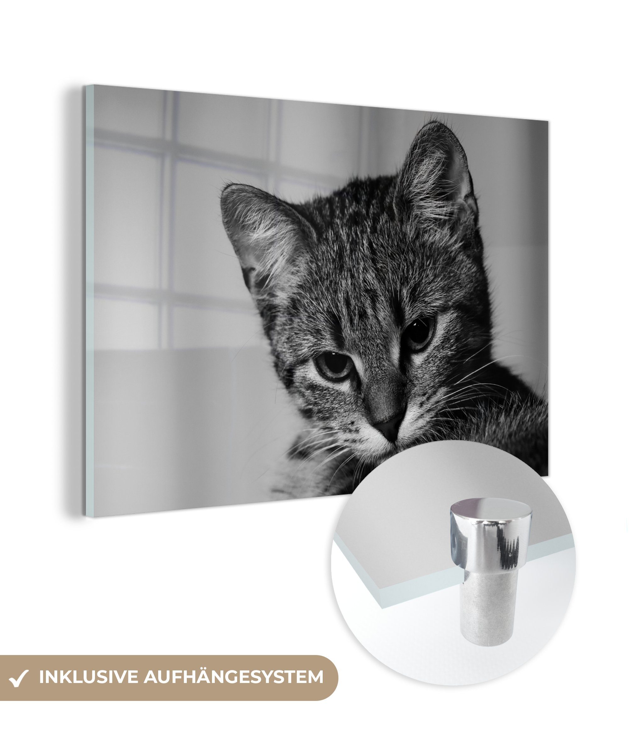 MuchoWow Acrylglasbild Katze - Porträt - Schwarz - Weiß, (1 St), Acrylglasbilder Wohnzimmer & Schlafzimmer