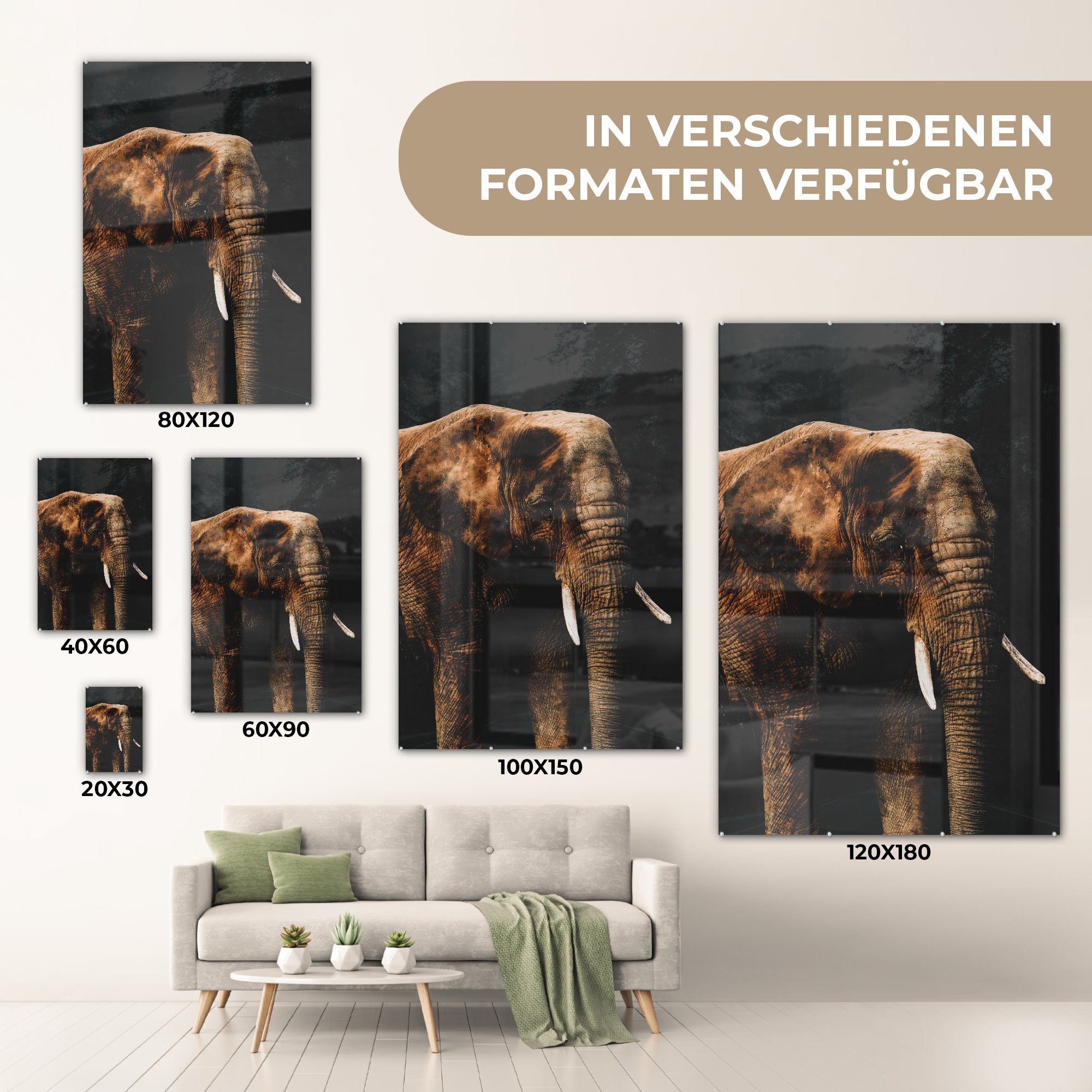MuchoWow Acrylglasbild Farbe, Foto auf Glas - - Glasbilder Elefant - auf Schwarz bunt Wandbild - Glas Wanddekoration - Bilder St), (1
