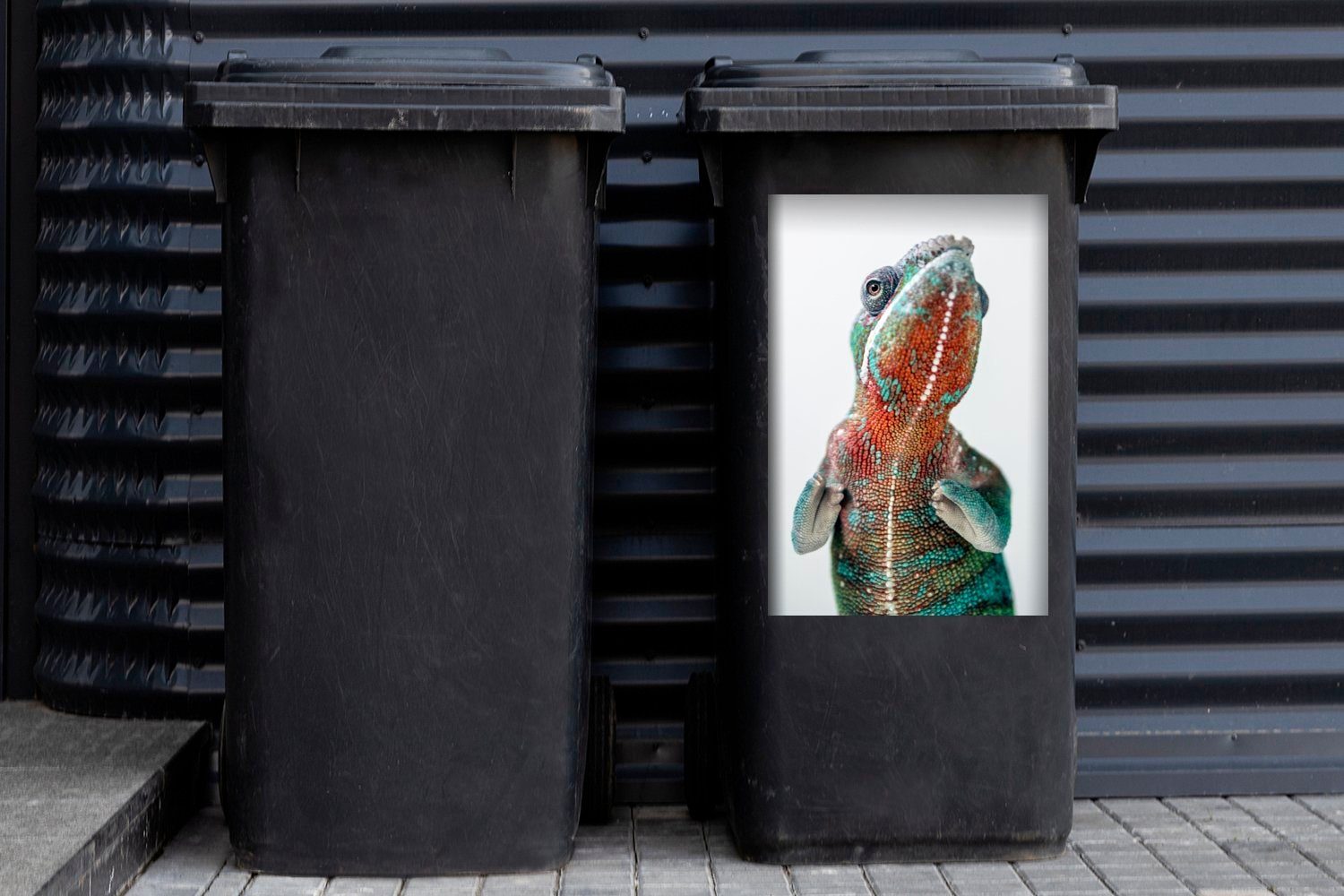 St), Container, (1 Mülltonne, Chamäleon mit Mülleimer-aufkleber, rotem Bauch Abfalbehälter Wandsticker MuchoWow Sticker,