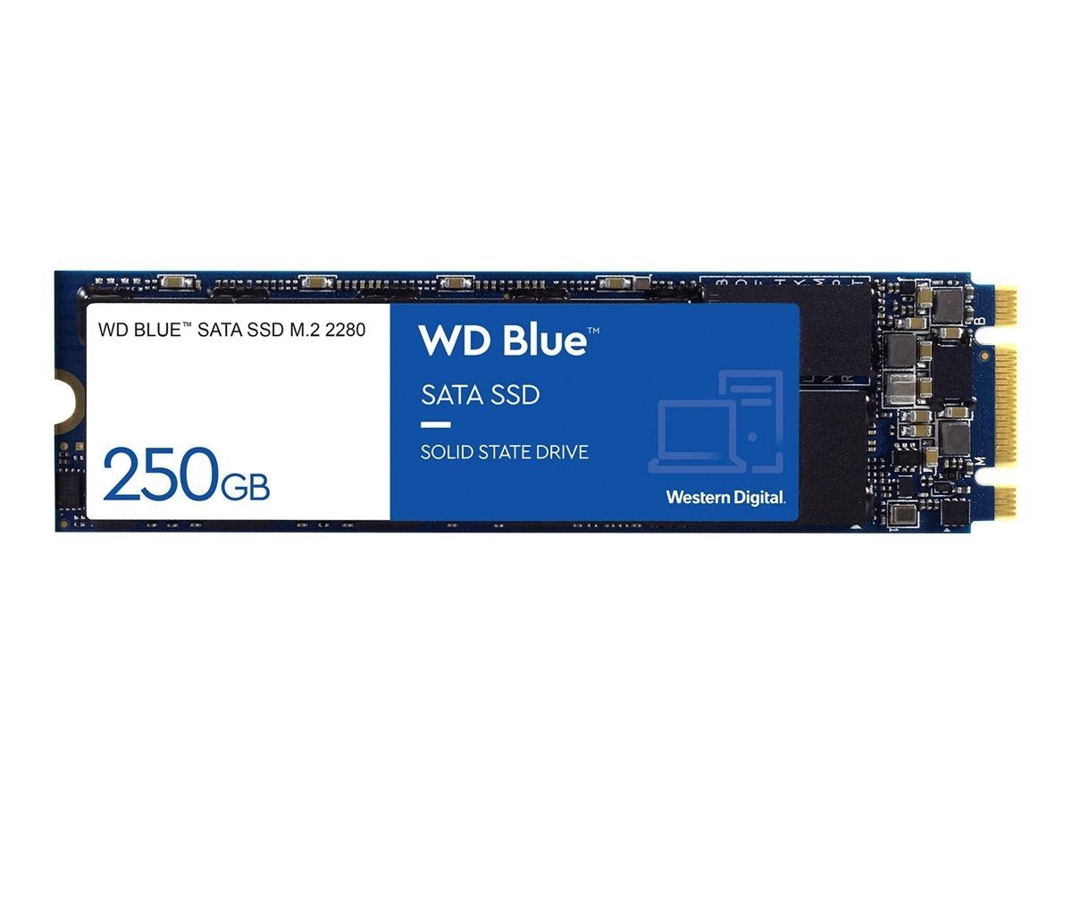 Western Digital WD Blue 250GB SSD M.2 2280 SATA interne SSD (250 GB) M.2" 3300 MB/S Lesegeschwindigkeit, 1200 MB/S Schreibgeschwindigkeit, PCIe Gen3 x4, NVMe, 3D NAND, M.2 2280
